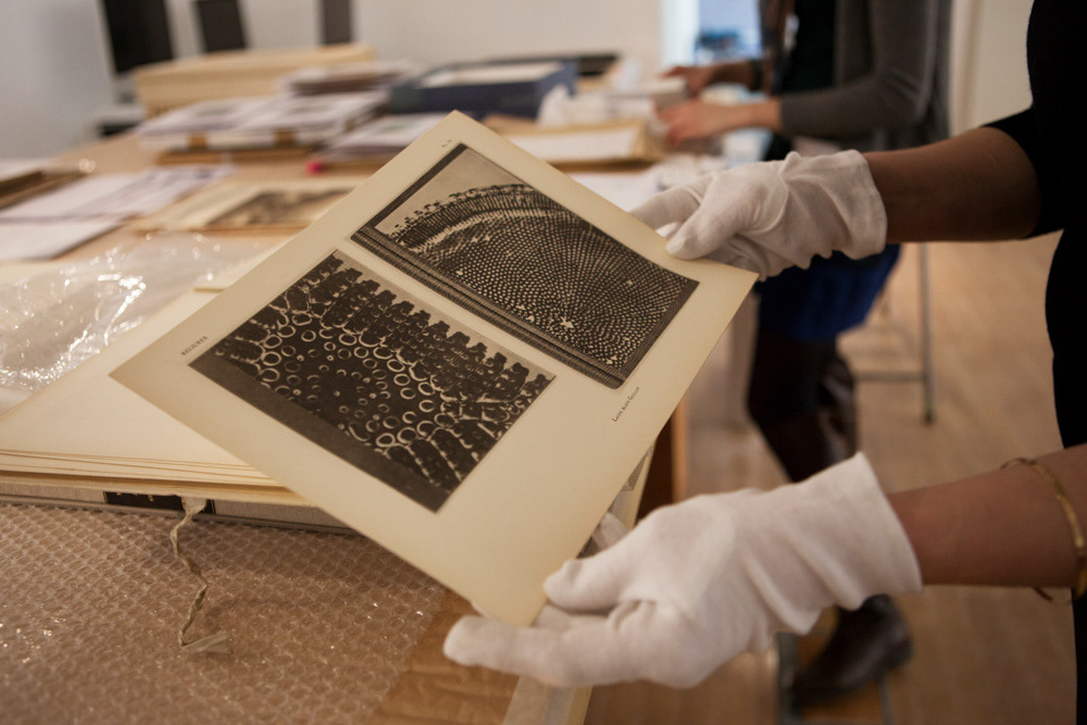 Accrochage de l'exposition "Laure Albin Guillot (1879-1962), l'enjeu classique" au Jeu de Paume. Paris, 18 février 2013.  © Julien Vidal / Parisienne de Photo / Roger-Viollet