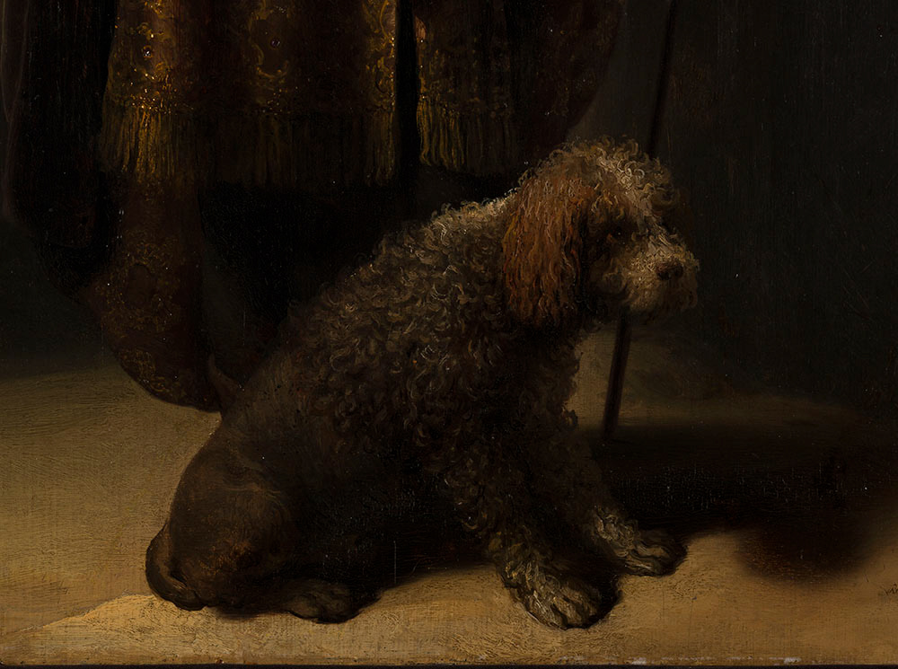 Rembrandt Harmensz.van Rijn. "Portrait de l'artiste en costume oriental". Huile sur bois. 1631-1633. Musée des Beaux-Arts de la Ville de Paris, Petit Palais. © Julien Vidal / Roger-Viollet