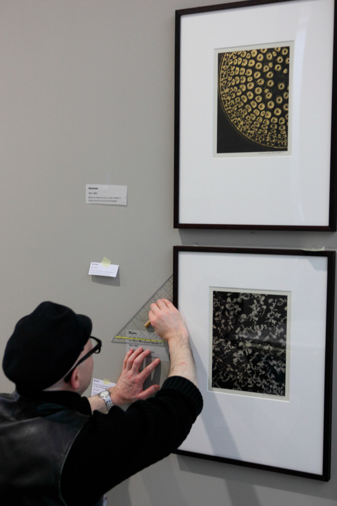 Accrochage de l'exposition "Laure Albin Guillot (1879-1962), l'enjeu classique" au Jeu de Paume. Paris, 18 février 2013.  © Julien Vidal / Parisienne de Photo / Roger-Viollet