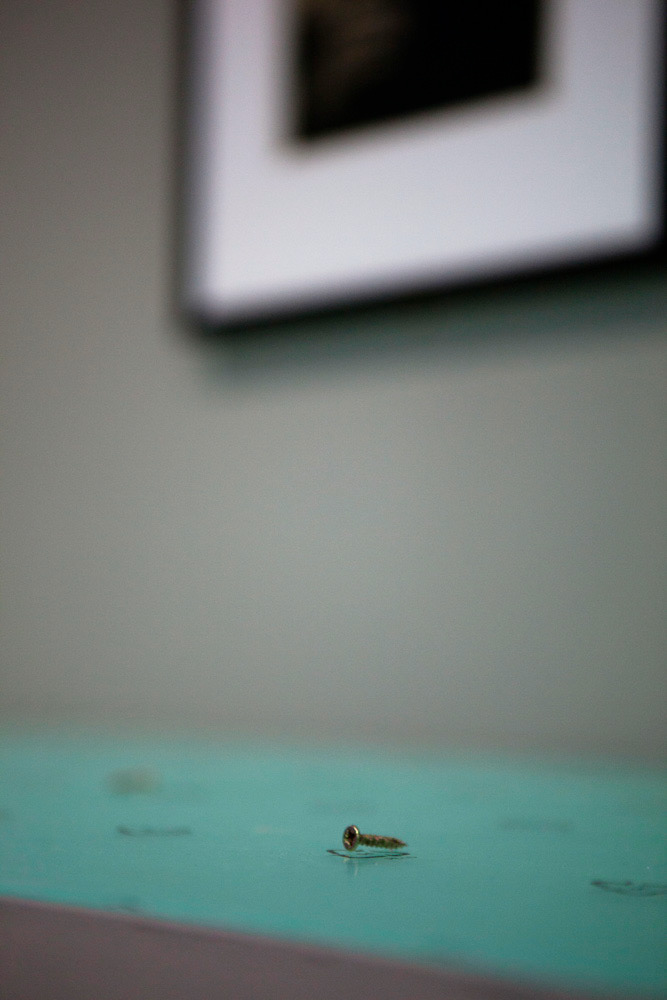 Accrochage de l'exposition "Laure Albin Guillot (1879-1962), l'enjeu classique" au Jeu de Paume. Paris, 18 février 2013.  © Julien Vidal / Parisienne de Photo / Roger-Viollet