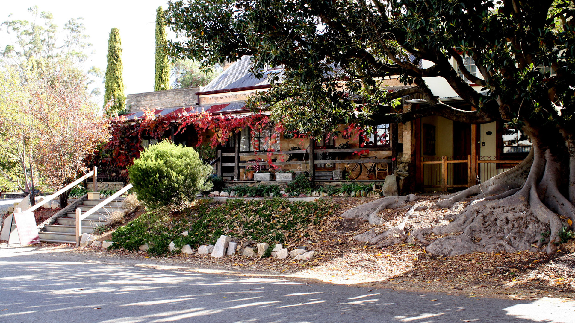 Mintaro historic town - Reilly's wines well worth a visit !