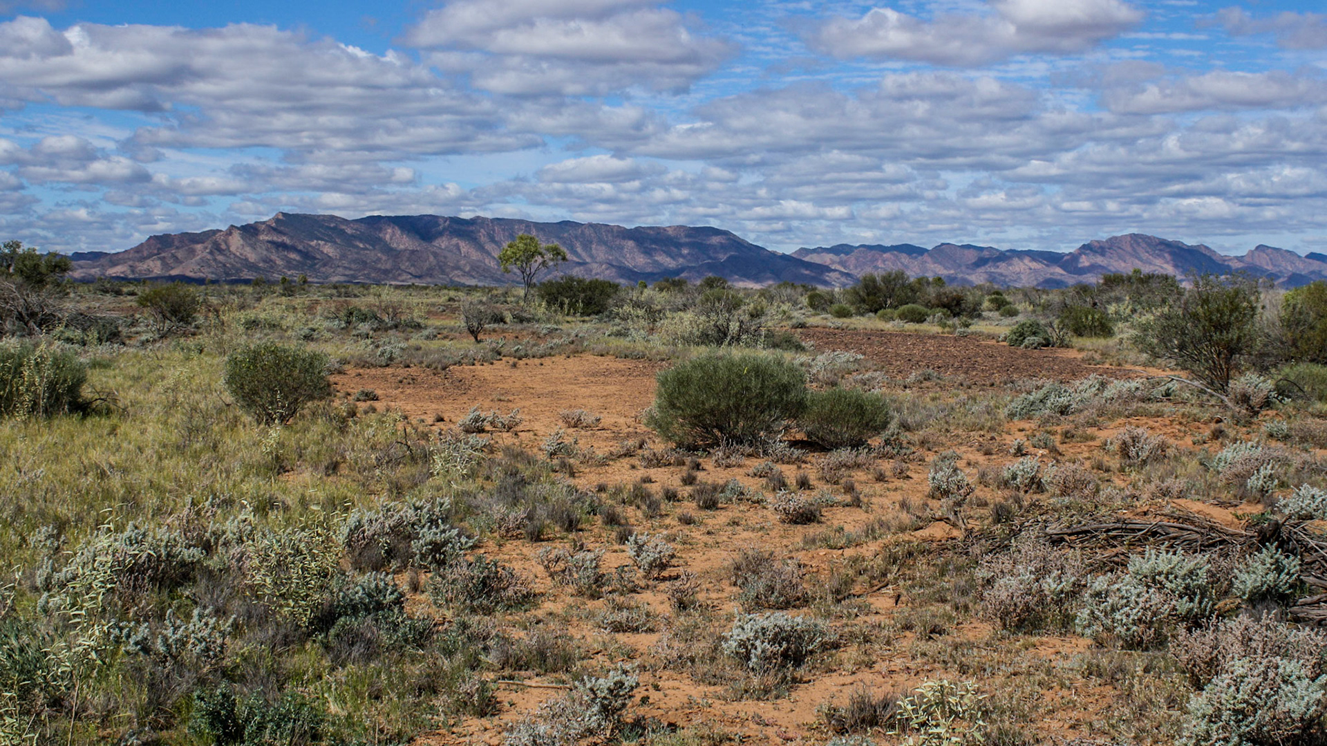 John Wayne landscape - FIN