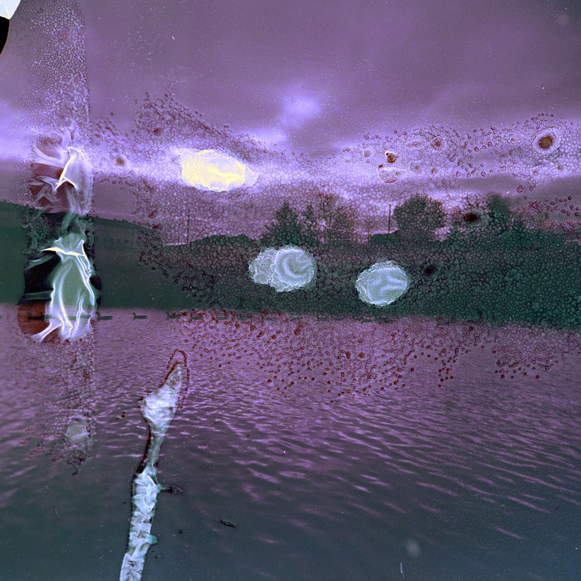 The Sky is Purple no. 2