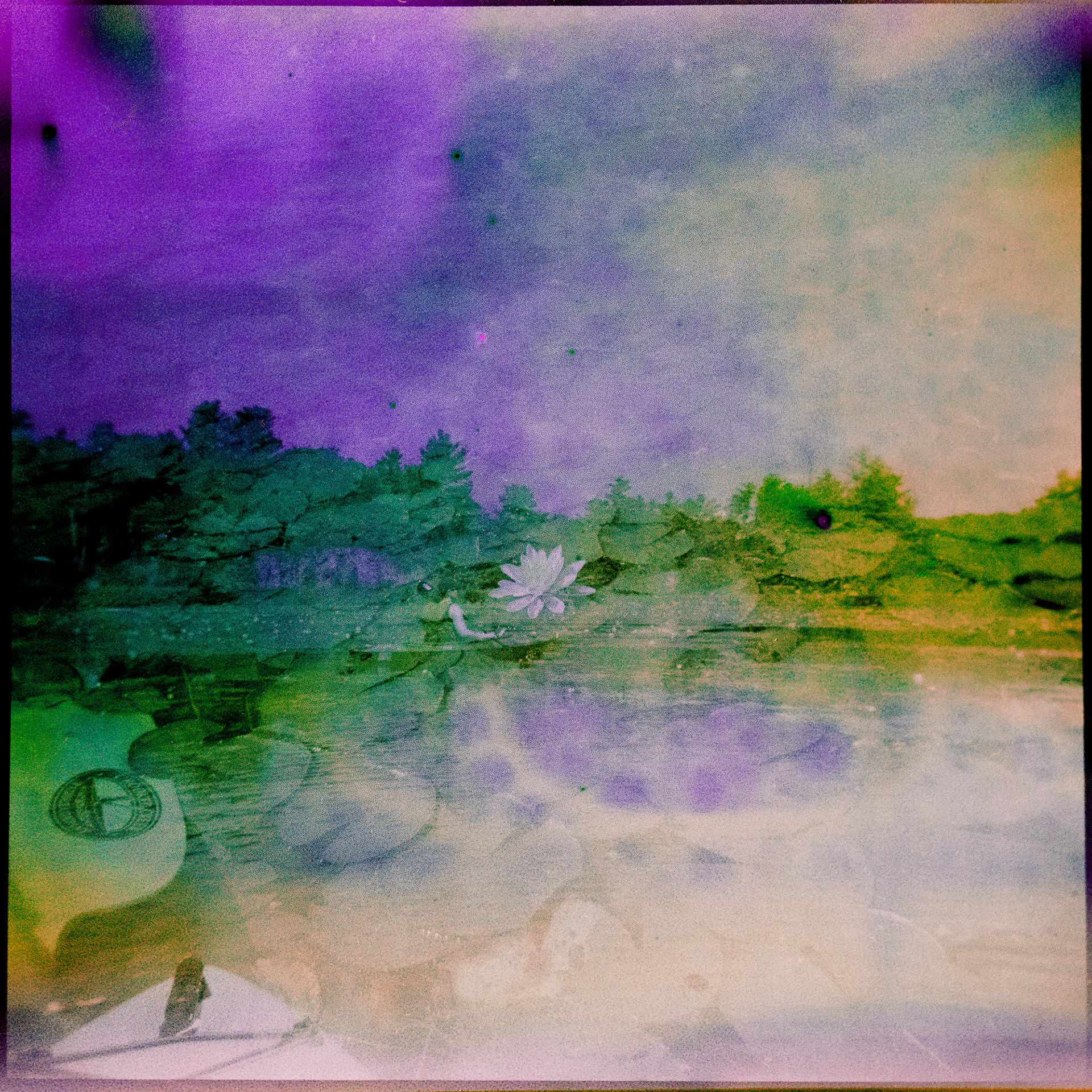 Tears and Dish Detergent no. 1