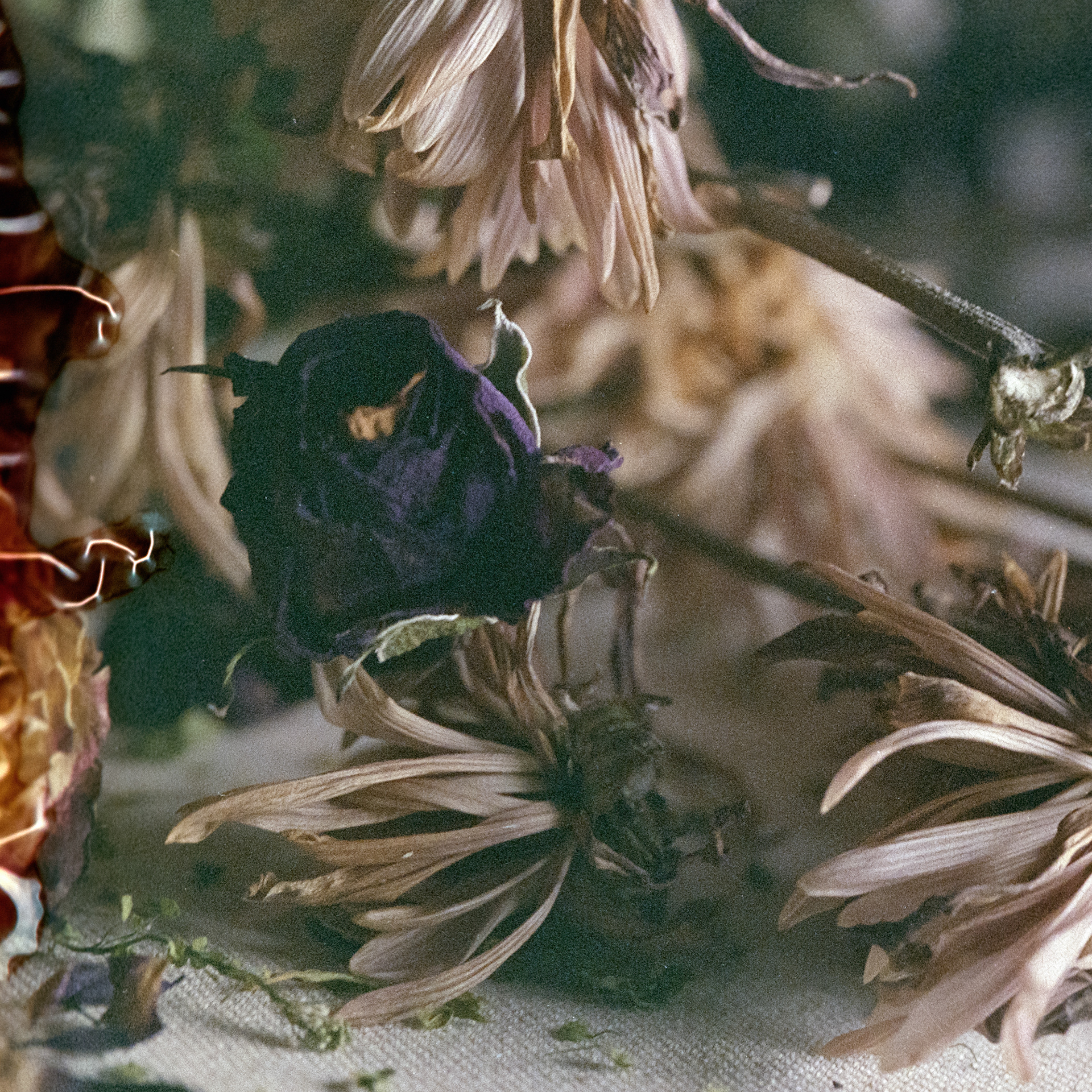 Birthday Flowers no. 8