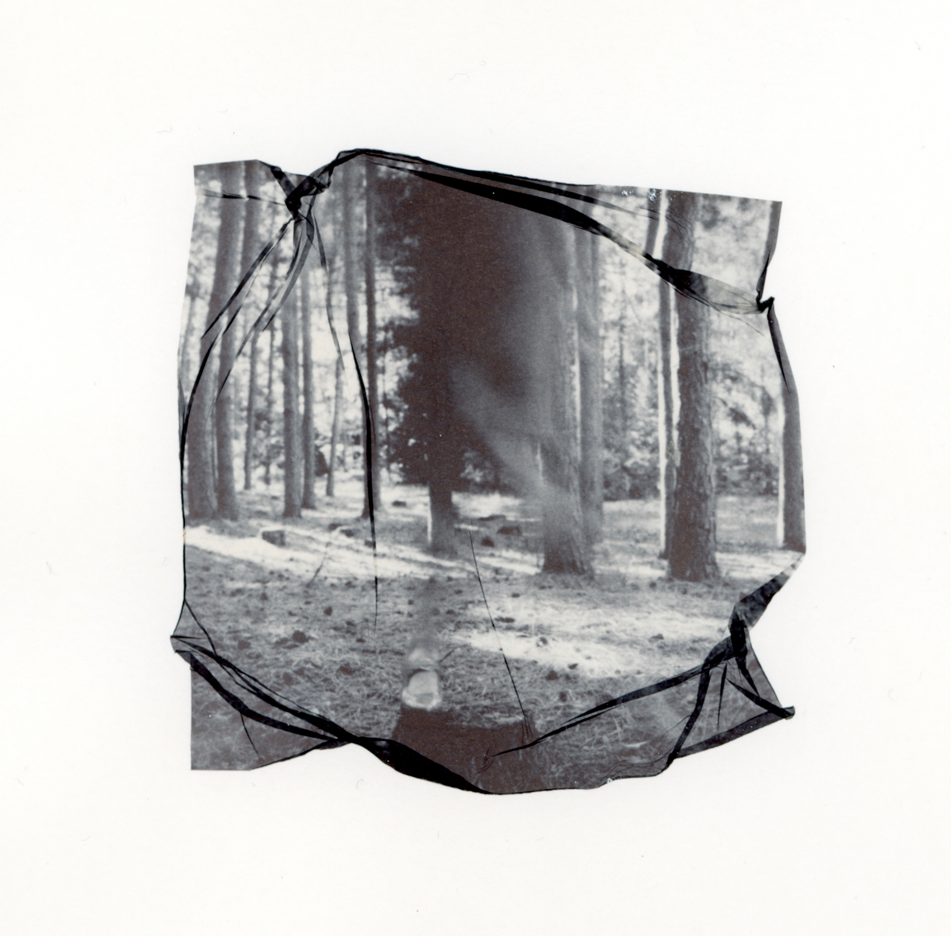 The Invisible Woman no. 1