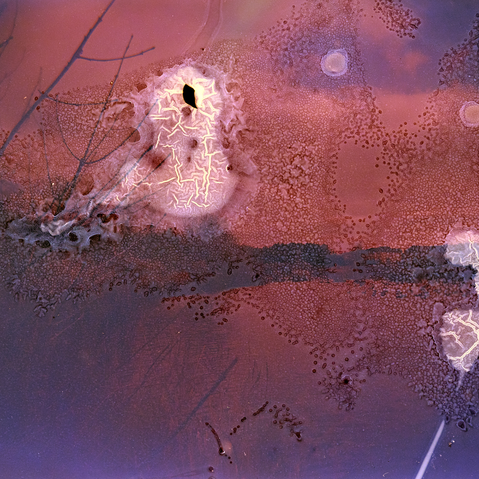 The Sky is Purple no. 5