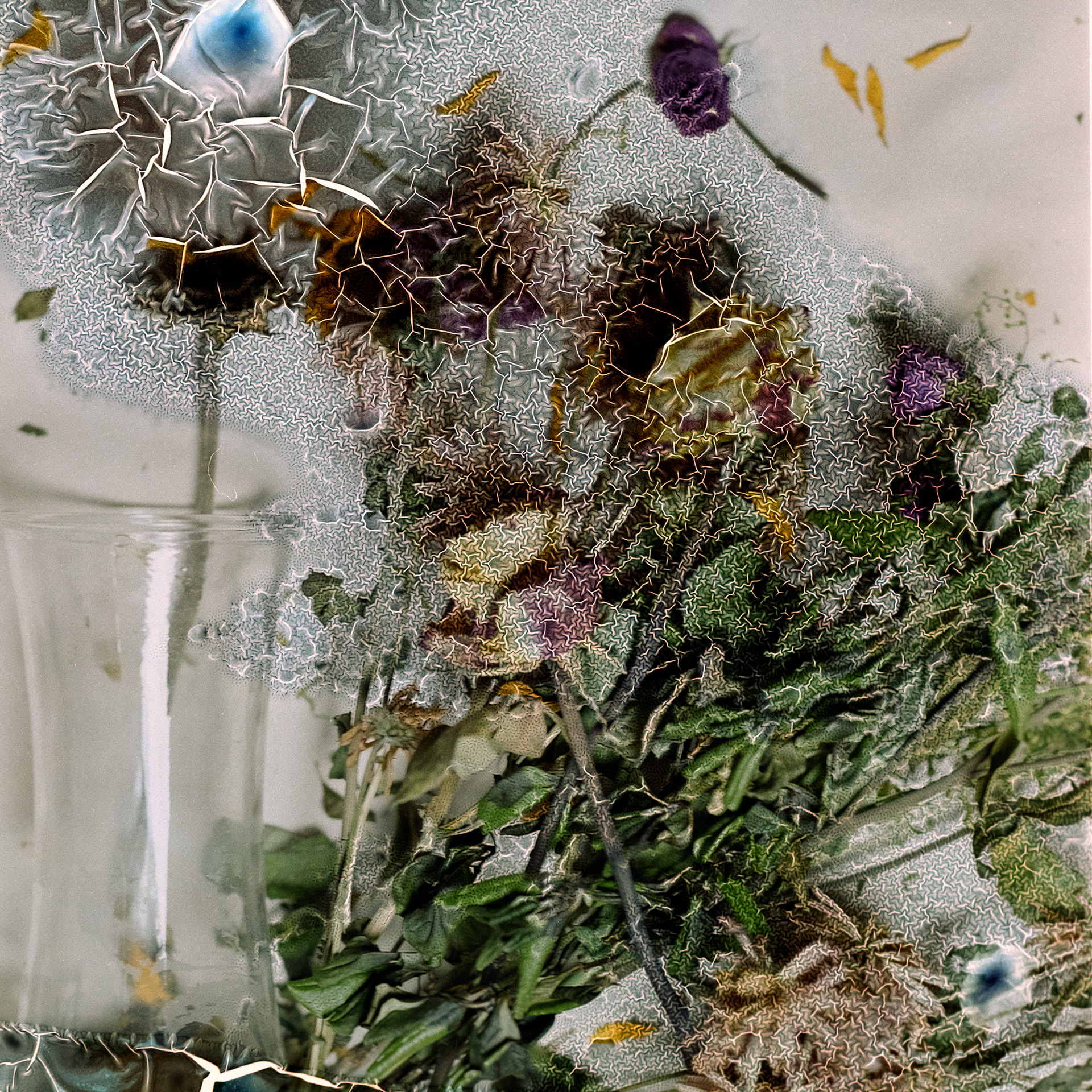 Birthday Flowers no. 10