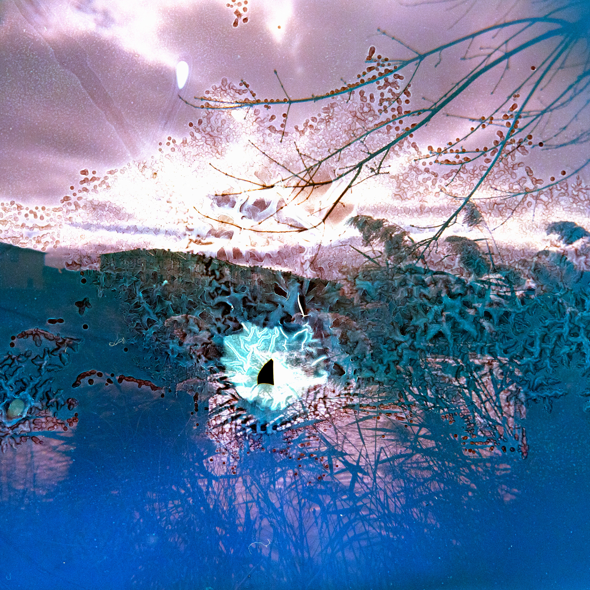 The Sky is Purple no. 3