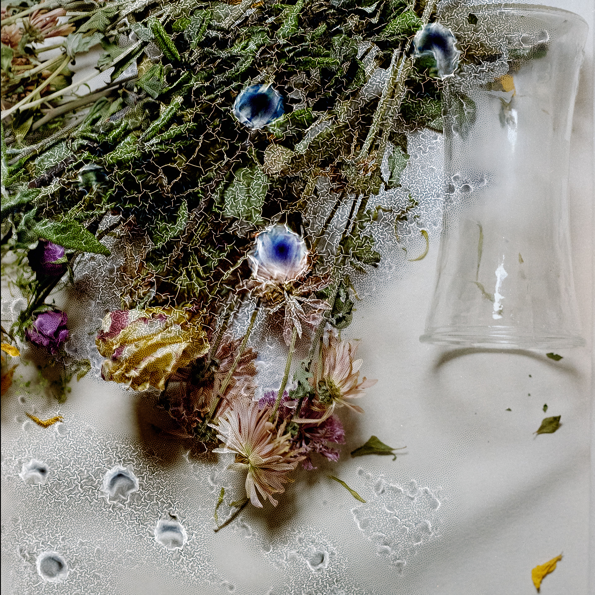 Birthday Flowers no. 3