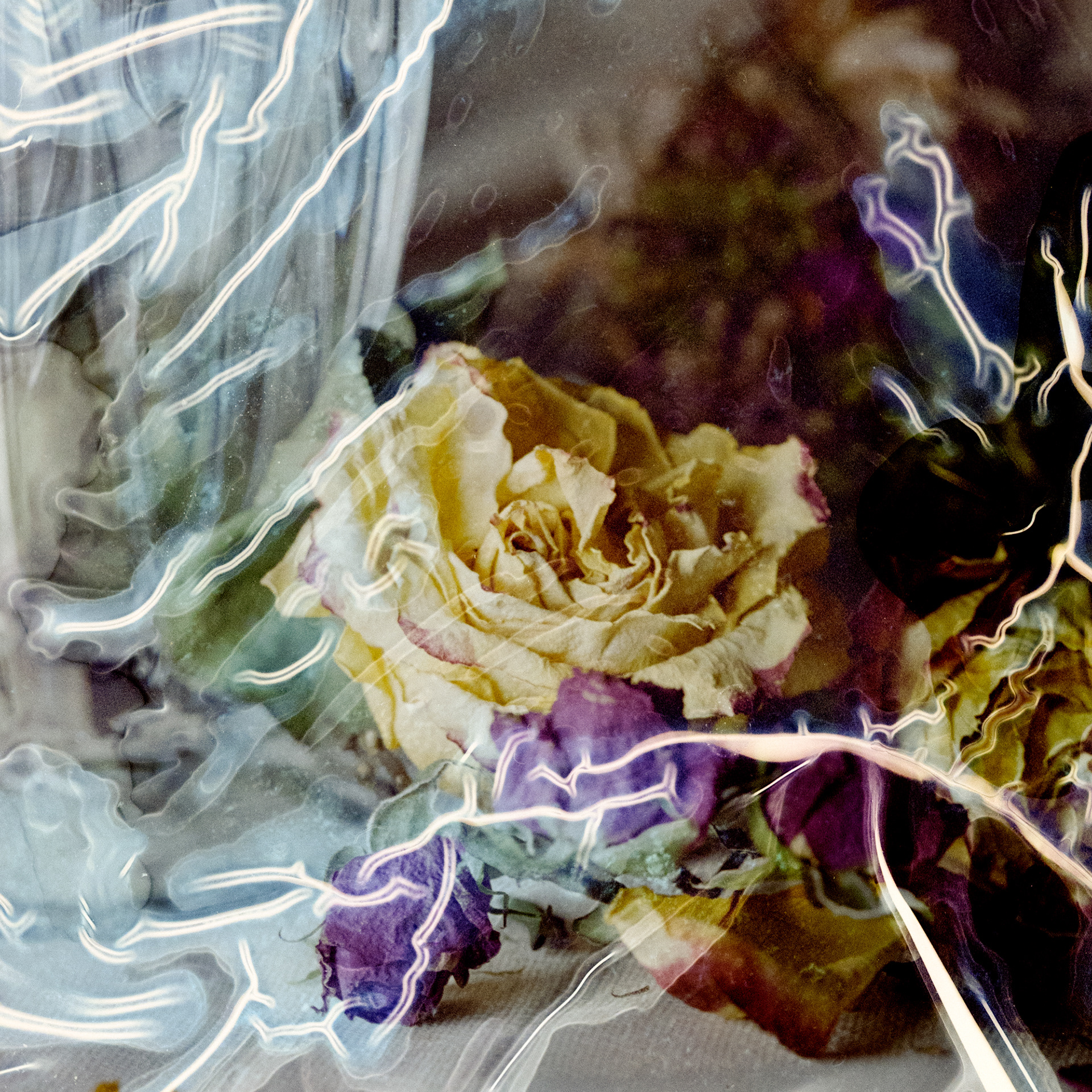 Birthday Flowers no. 6