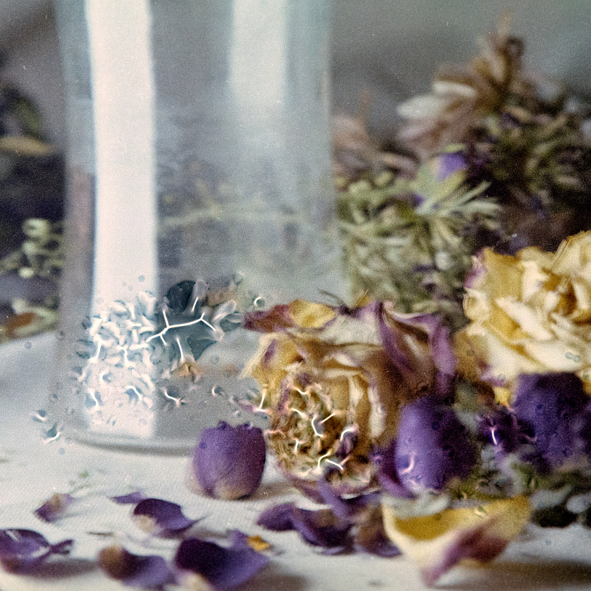 Birthday Flowers no. 5