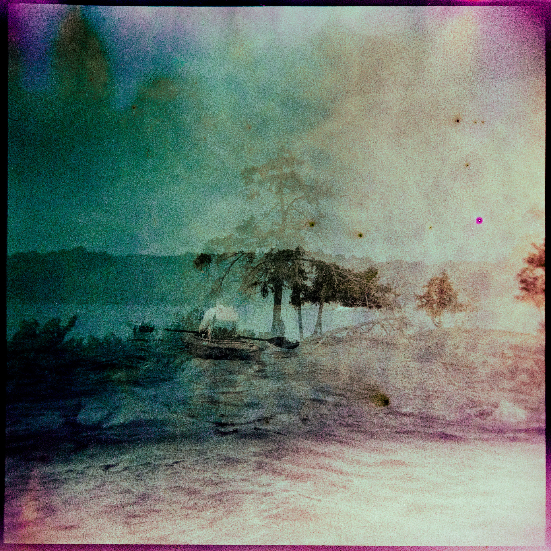 Tears and Dish Detergent no. 2