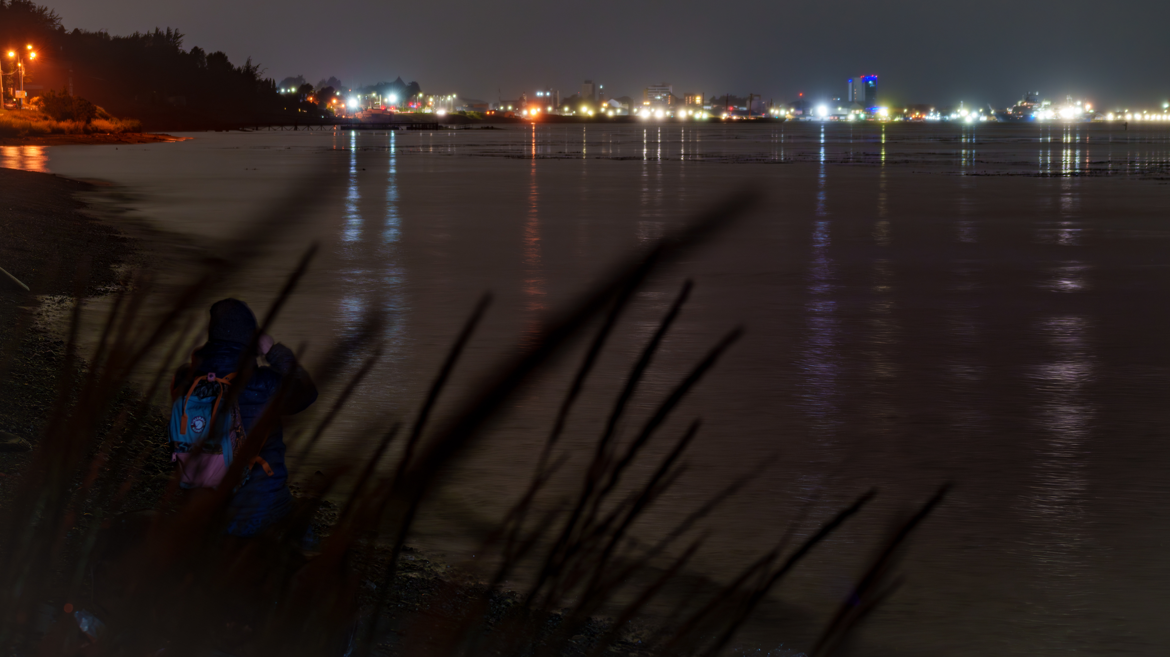Bahia de Punta Arenas, desde rio de los ciervos