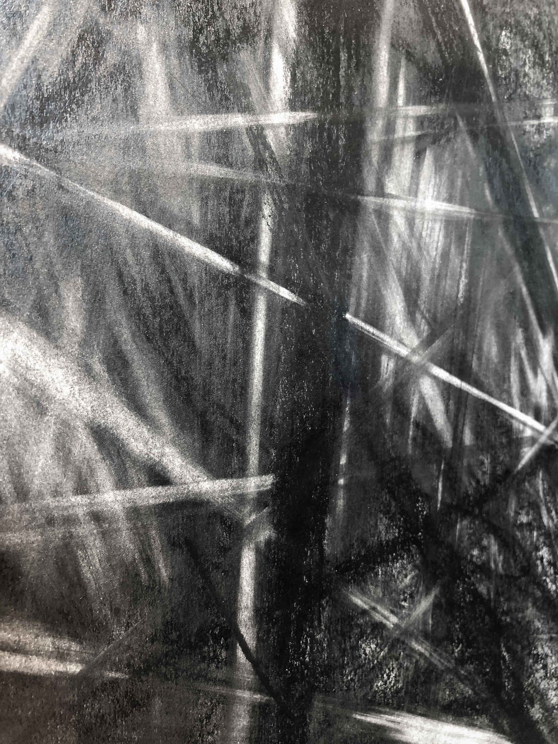 Detail showing layered graphite and eraser marks