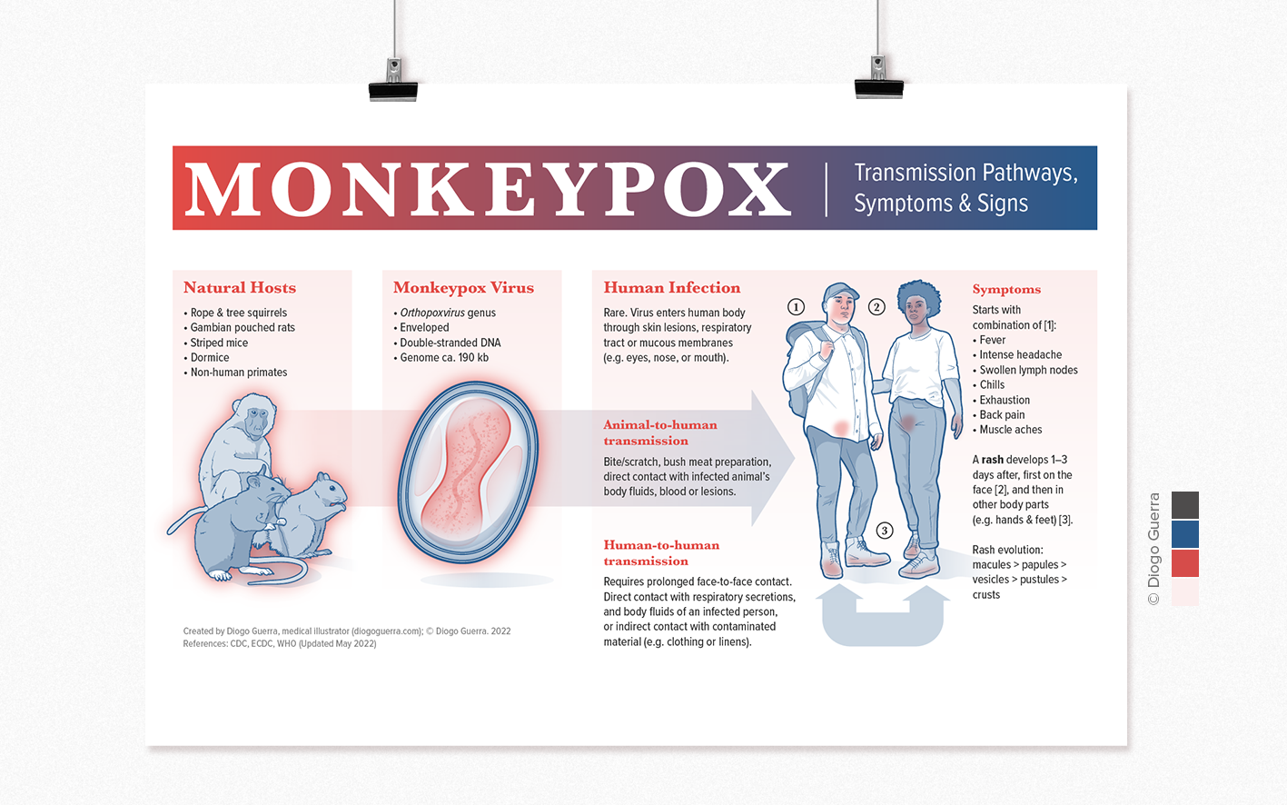 Monkeypox, virus, infection, one health, variola, smallpox