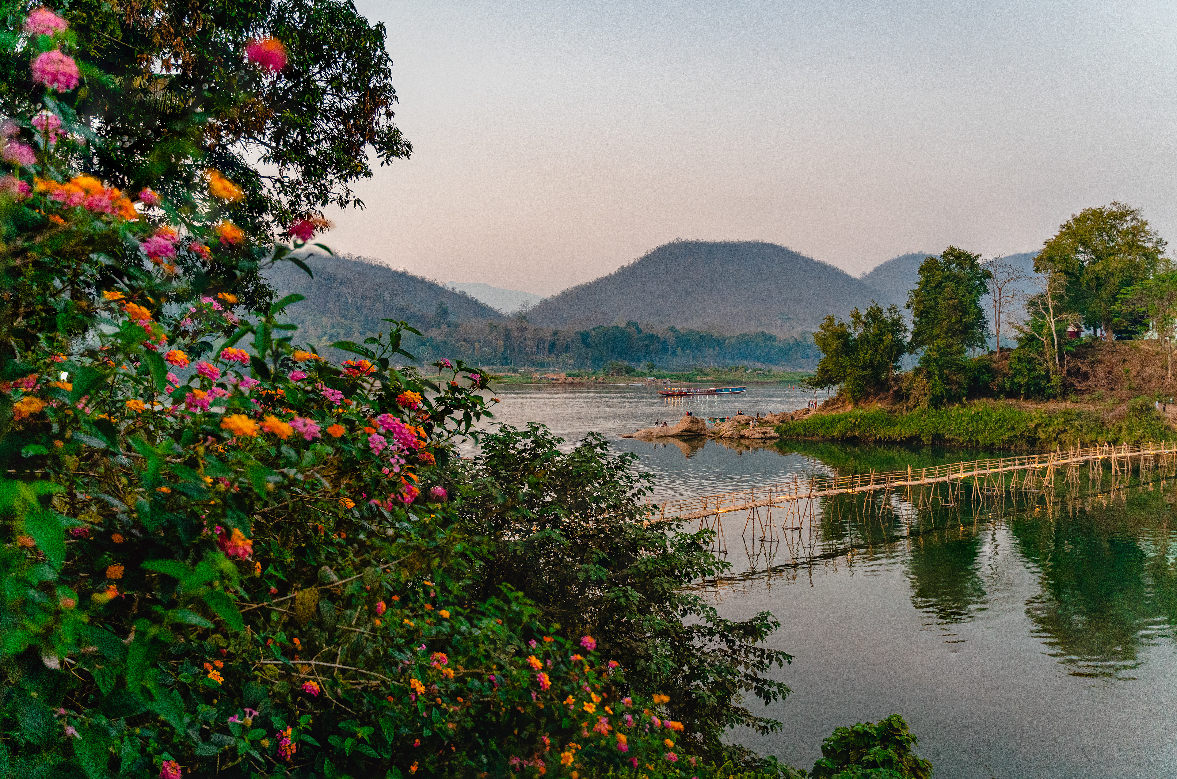 Bamboo Bridge