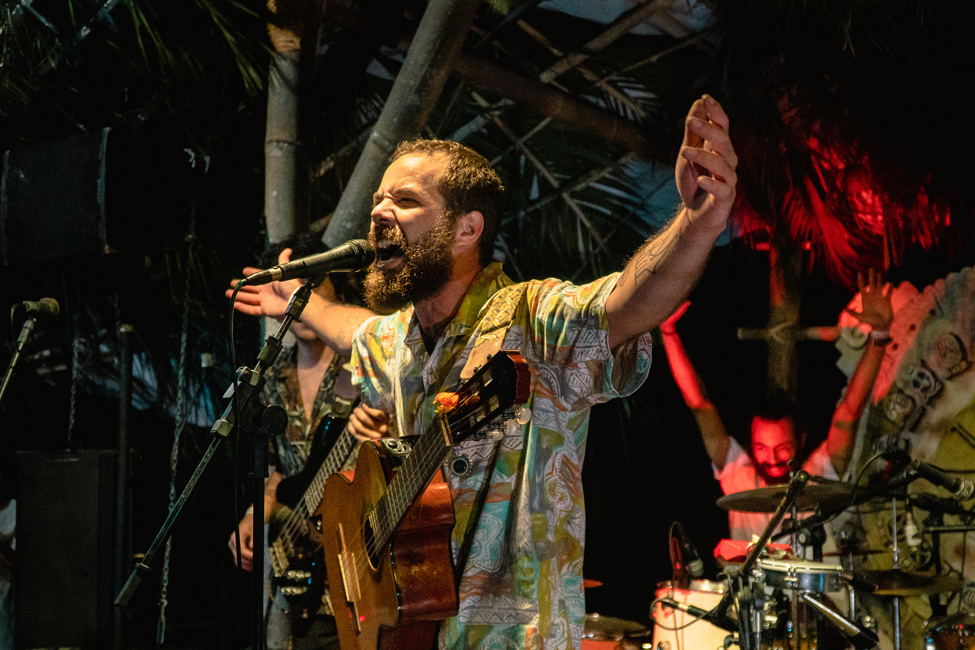 Roça Nova | Festival Tucano do Bico Verde - Patrimônio da Penha-ES