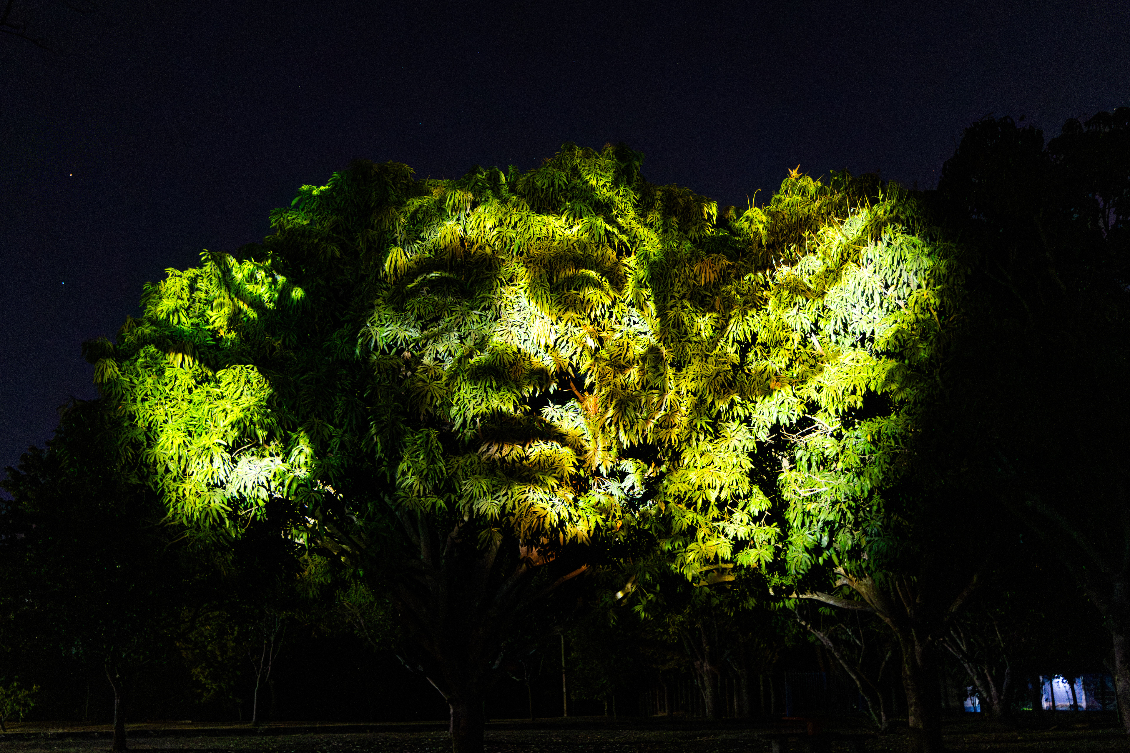 Cerrado Mapping Festival | Uberlândia - MG