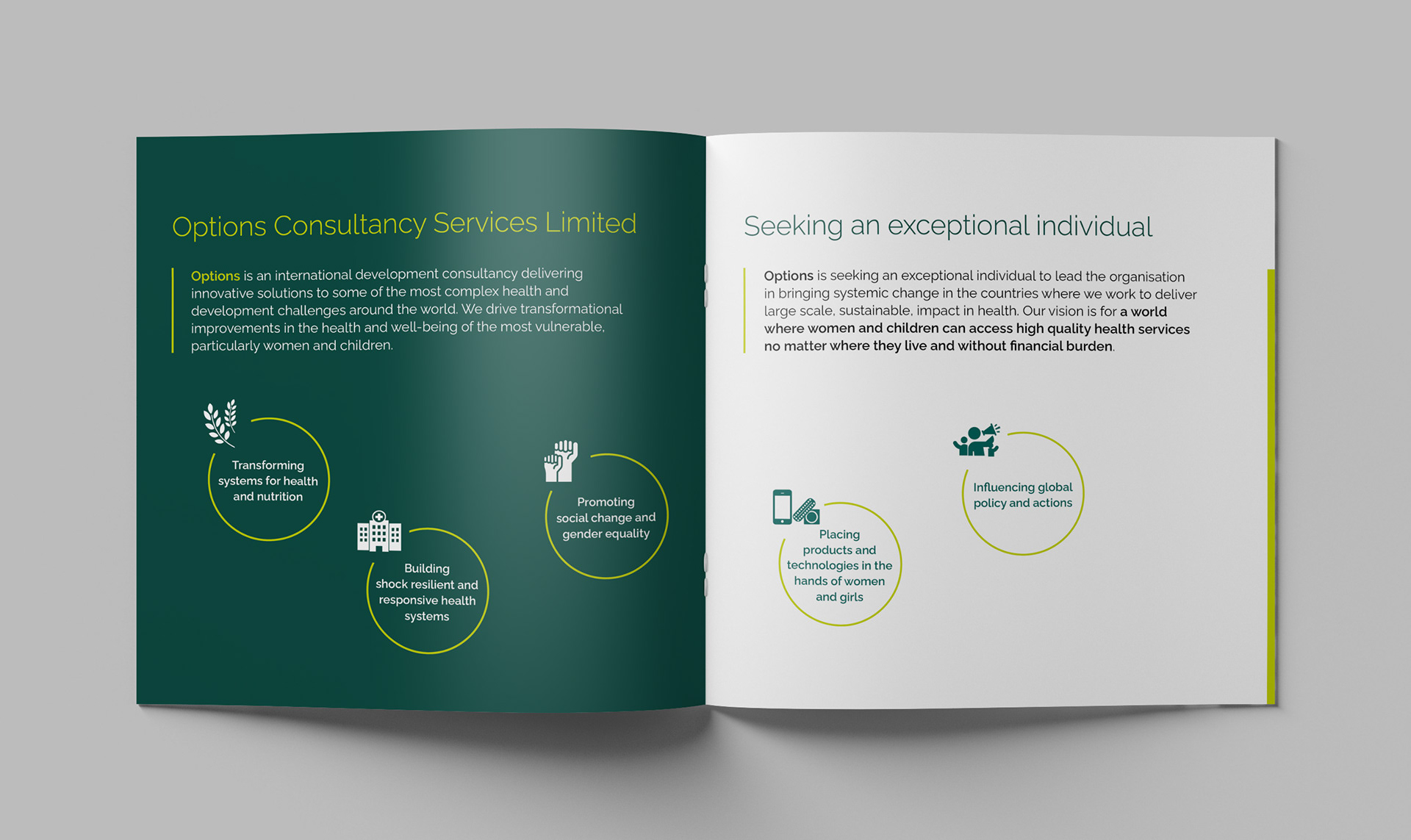 Interactive recruitment brochure