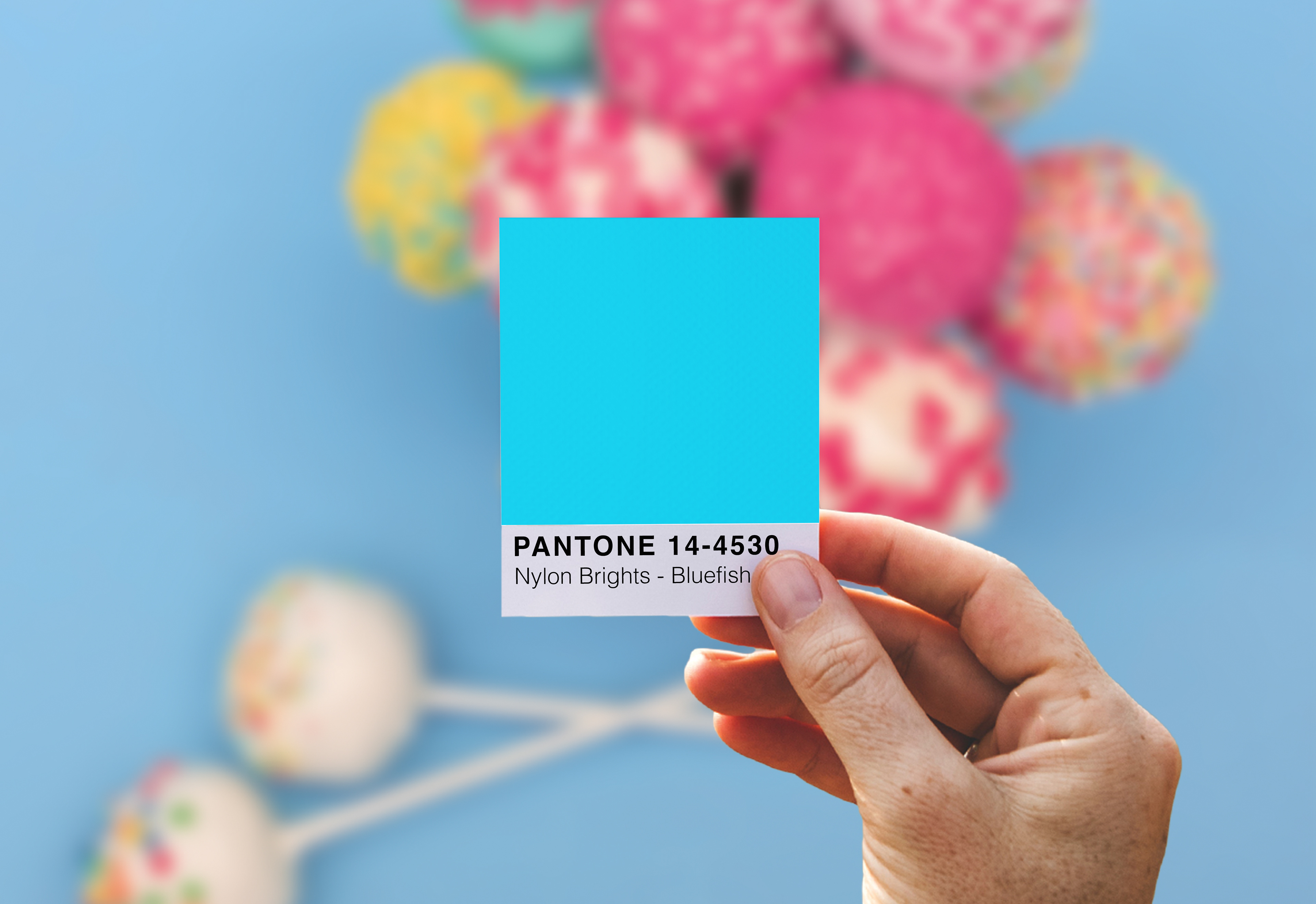 Color combo for THE CAKE POP SHOP.