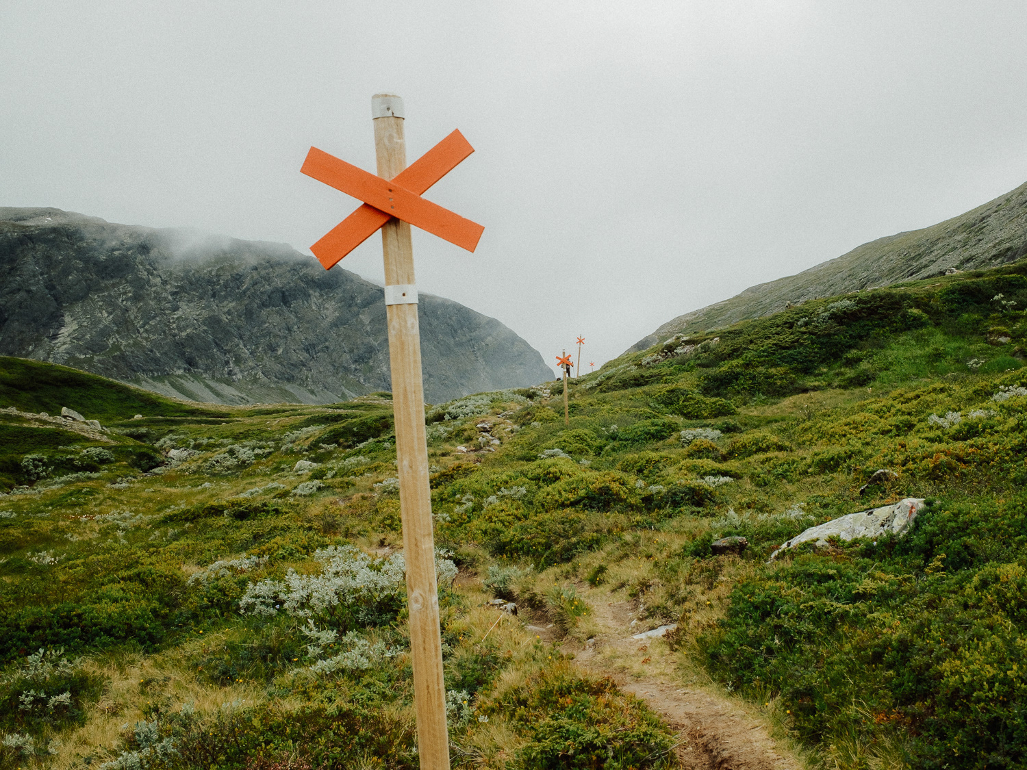 Trail path
