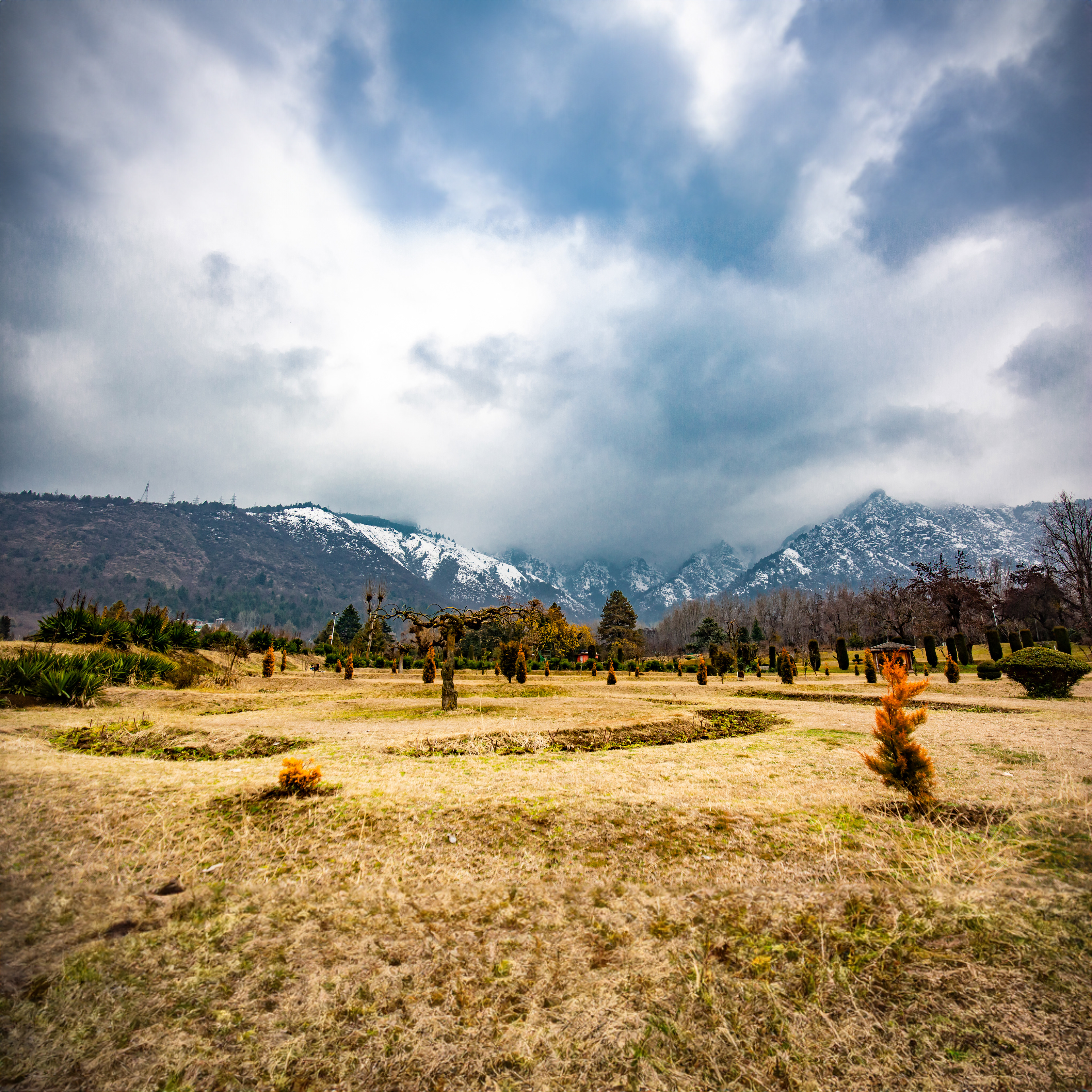 Indira Gandhi Memorial Tulip Garden, Srinagar
