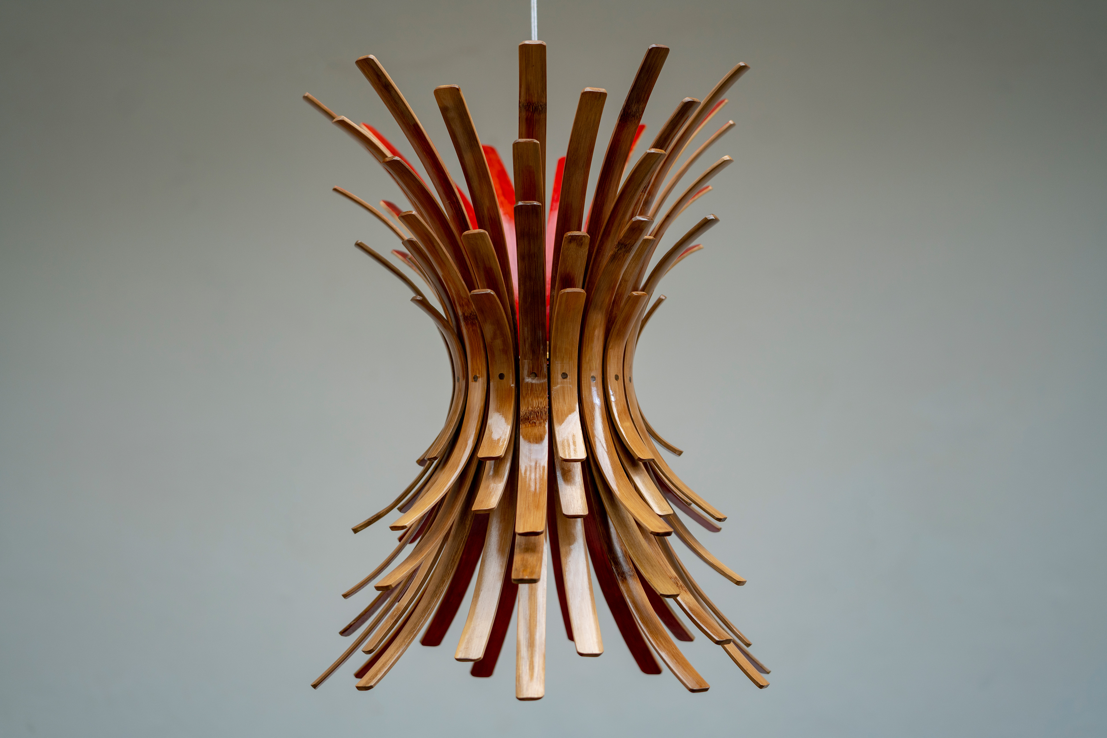 Glimmerfly by Andrea Noronha & Sandeep Sangaru