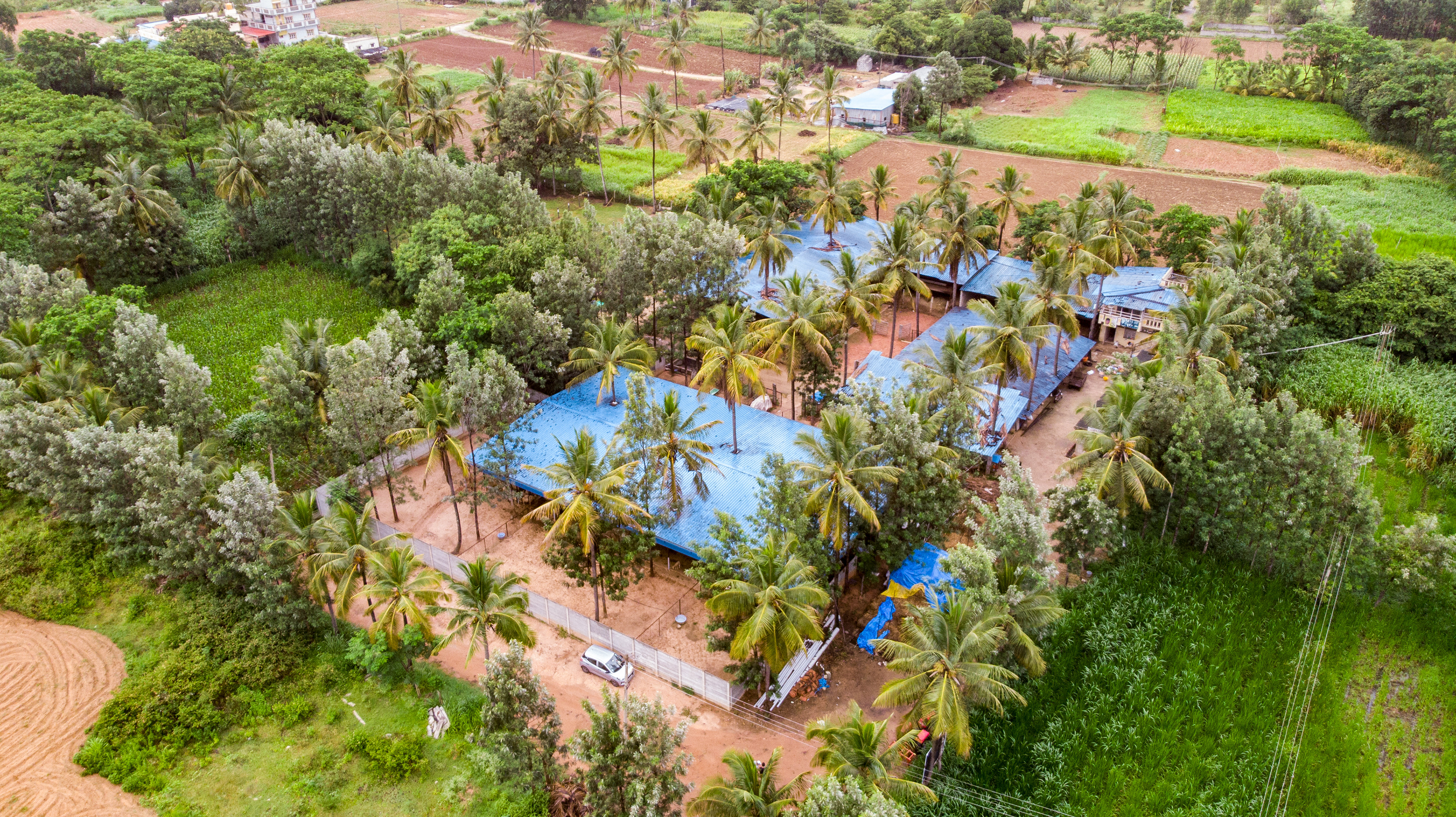 Sinchana Goat And Sheep Farm, Bagalur, Bangalore