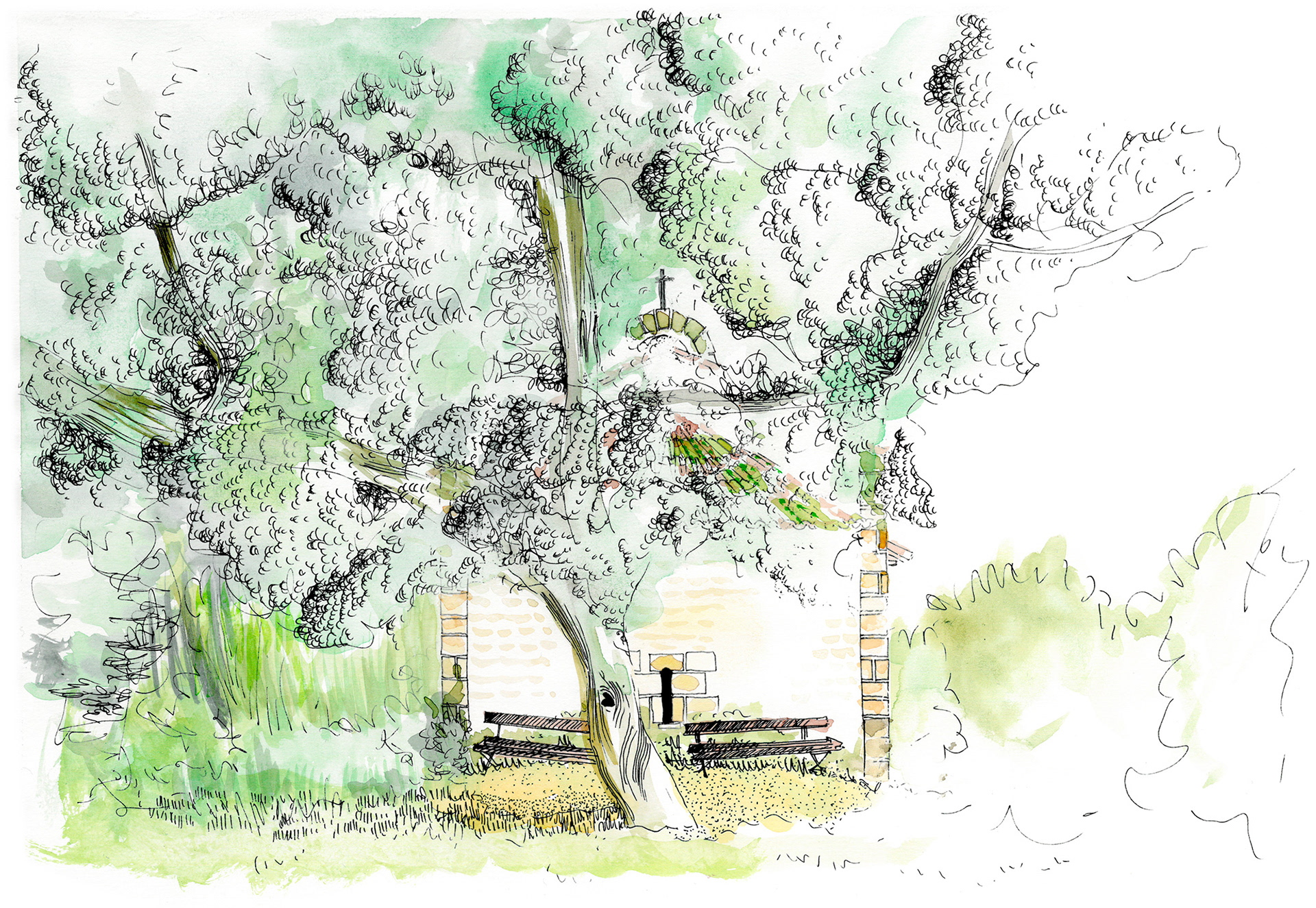 Aquarelle d'une Chapelle romane en Provence, à l'ombre de vieux arbres