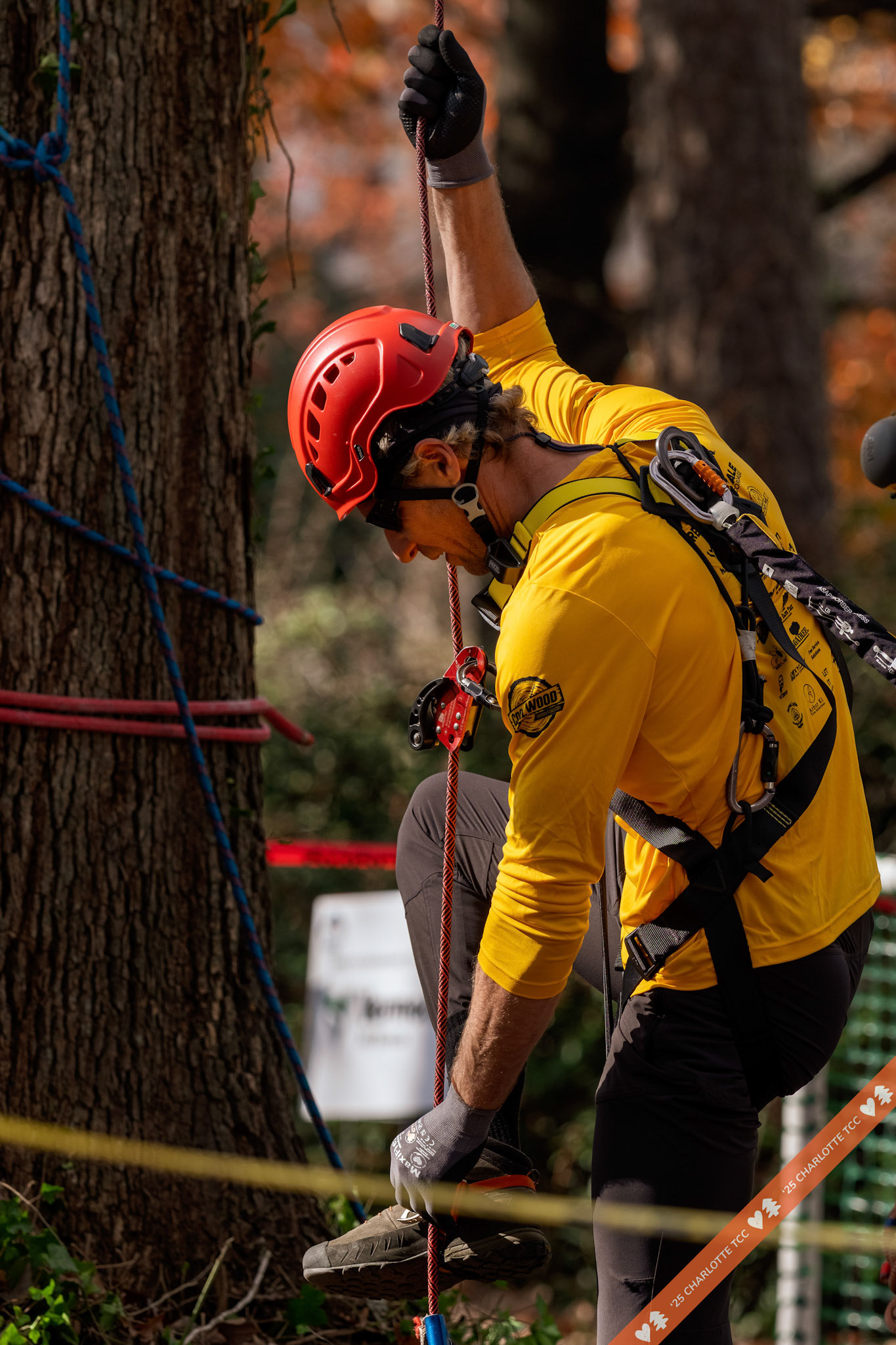 2025 Charlotte Tree Climbing Competition - TreeStuff.com/photos