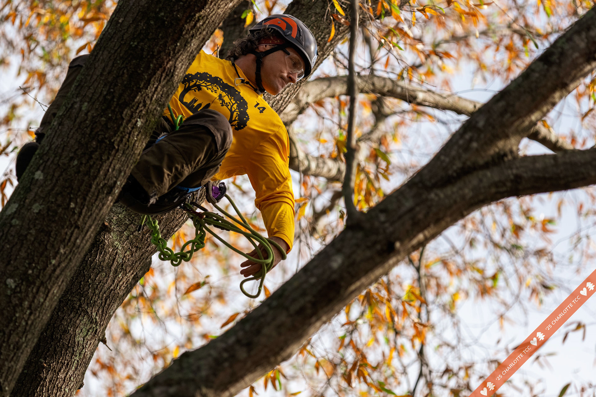 2025 Charlotte Tree Climbing Competition - TreeStuff.com/photos