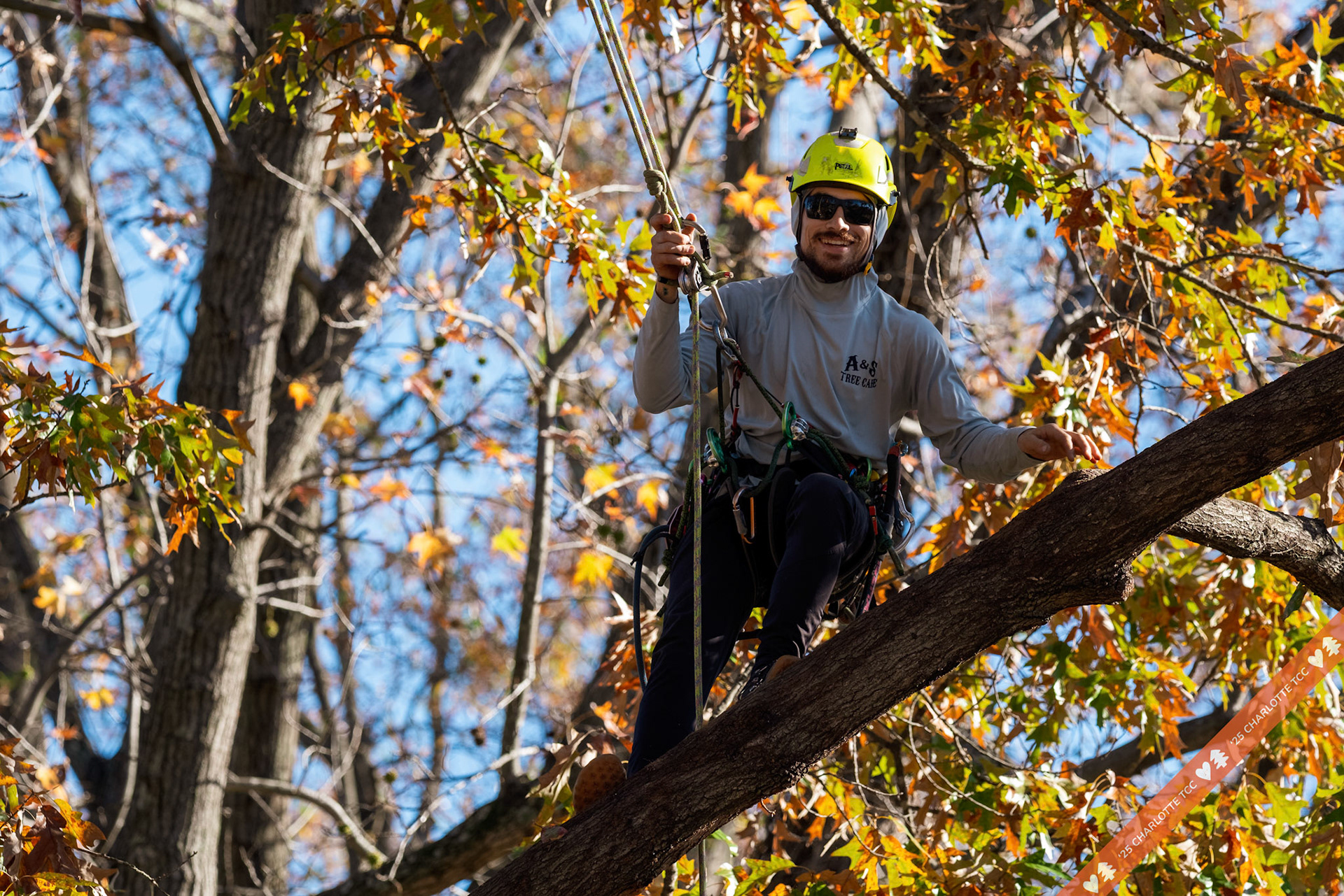 2025 Charlotte Tree Climbing Competition - TreeStuff.com/photos