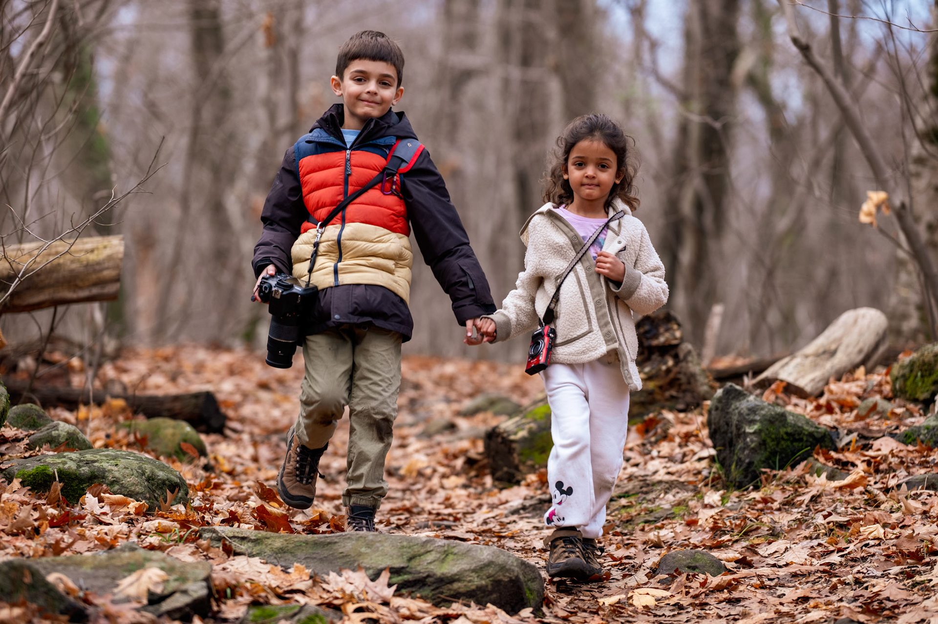 Beaver Brooke Reservation Hiking