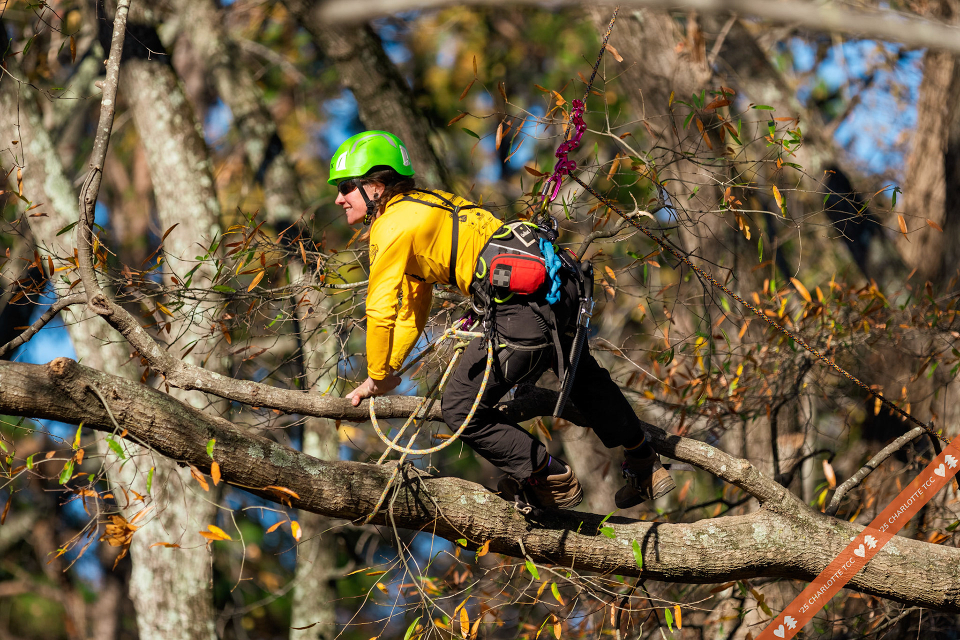2025 Charlotte Tree Climbing Competition - TreeStuff.com/photos
