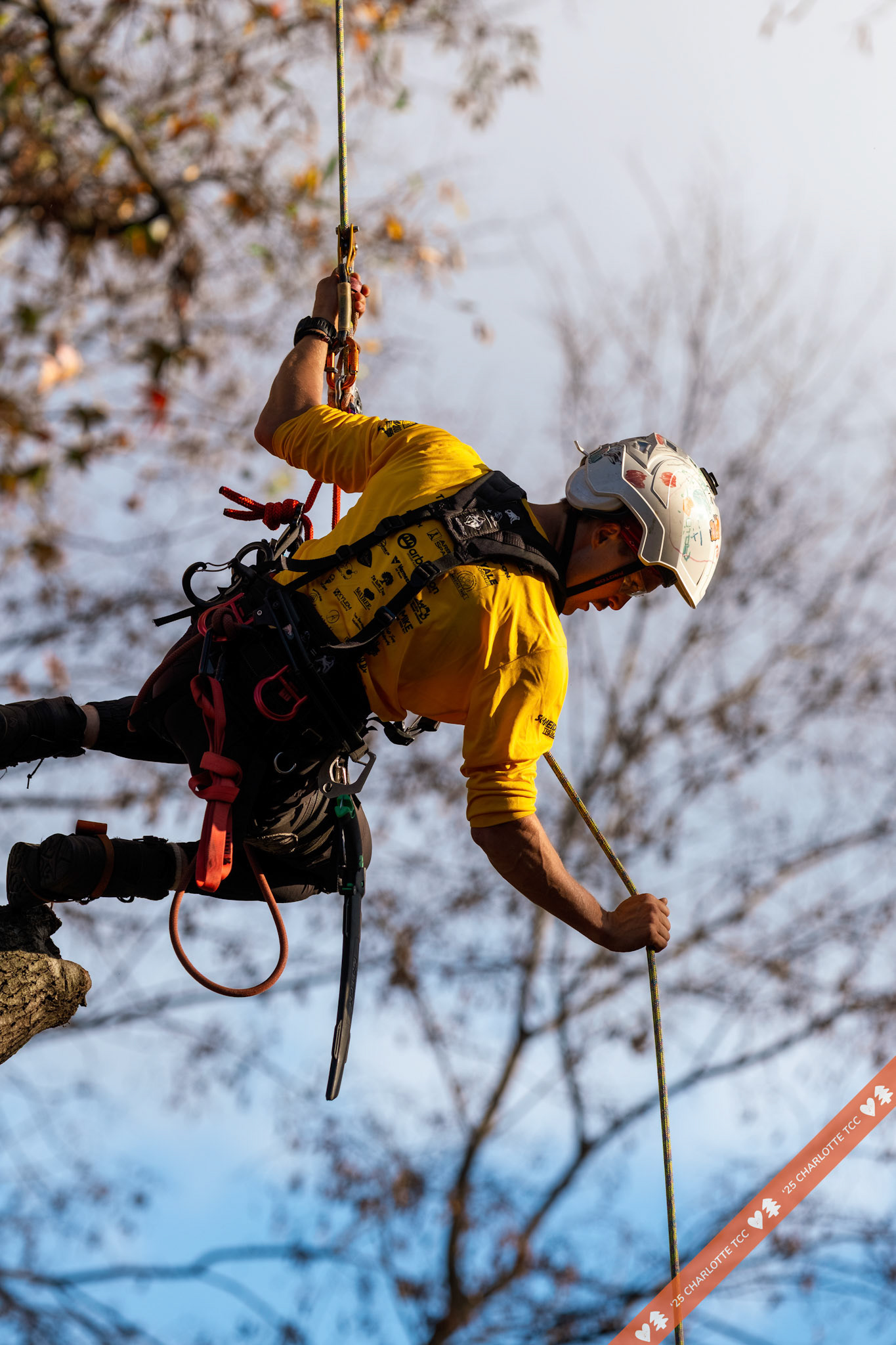 2025 Charlotte Tree Climbing Competition - TreeStuff.com/photos