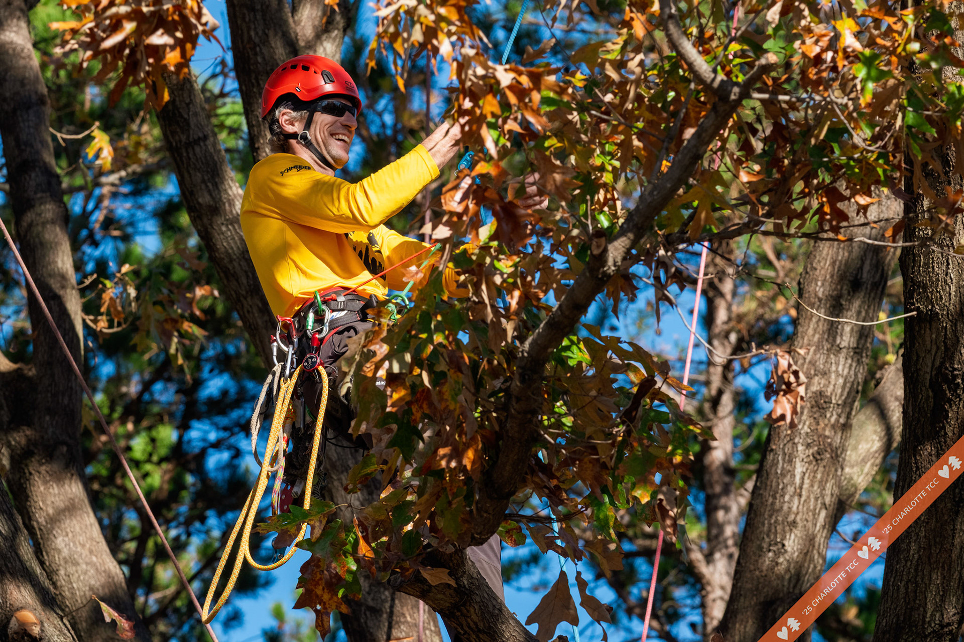 2025 Charlotte Tree Climbing Competition - TreeStuff.com/photos