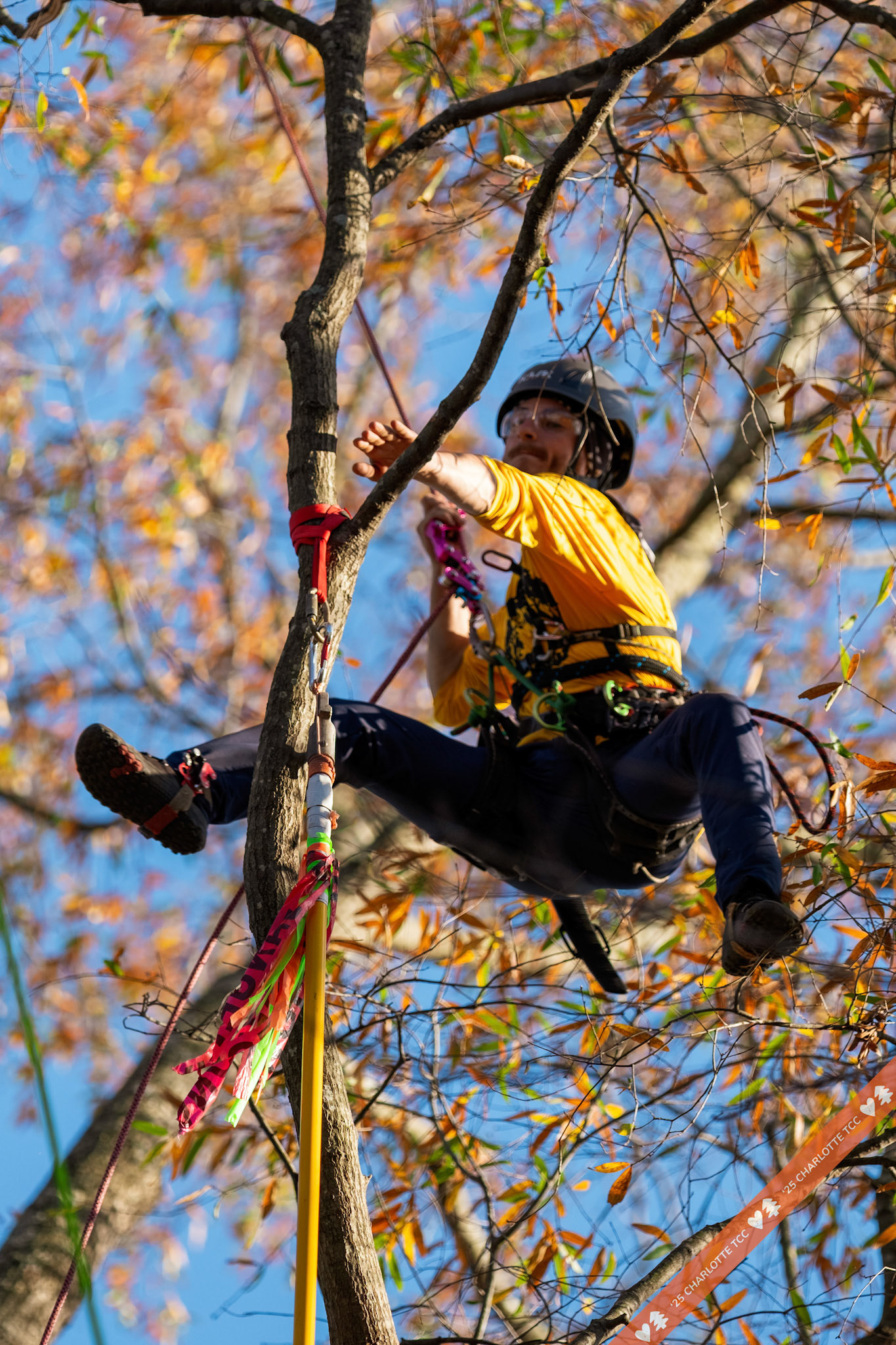2025 Charlotte Tree Climbing Competition - TreeStuff.com/photos
