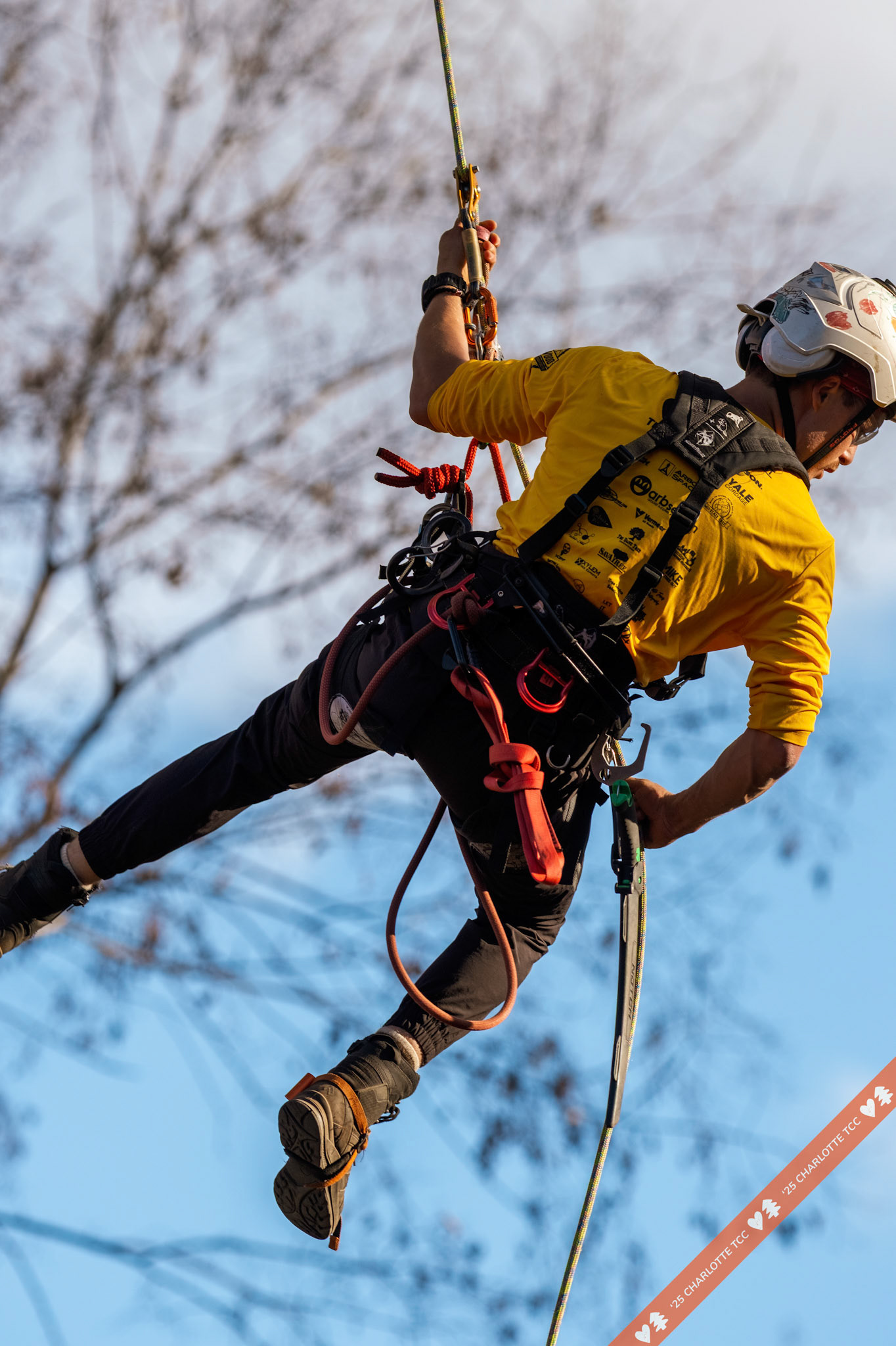 2025 Charlotte Tree Climbing Competition - TreeStuff.com/photos