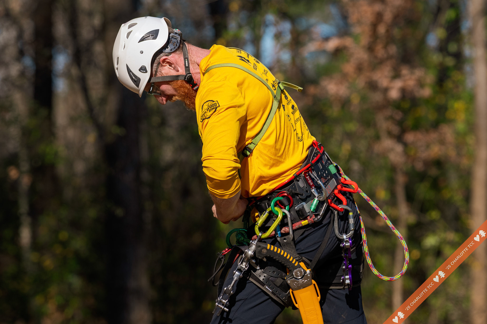 2025 Charlotte Tree Climbing Competition - TreeStuff.com/photos