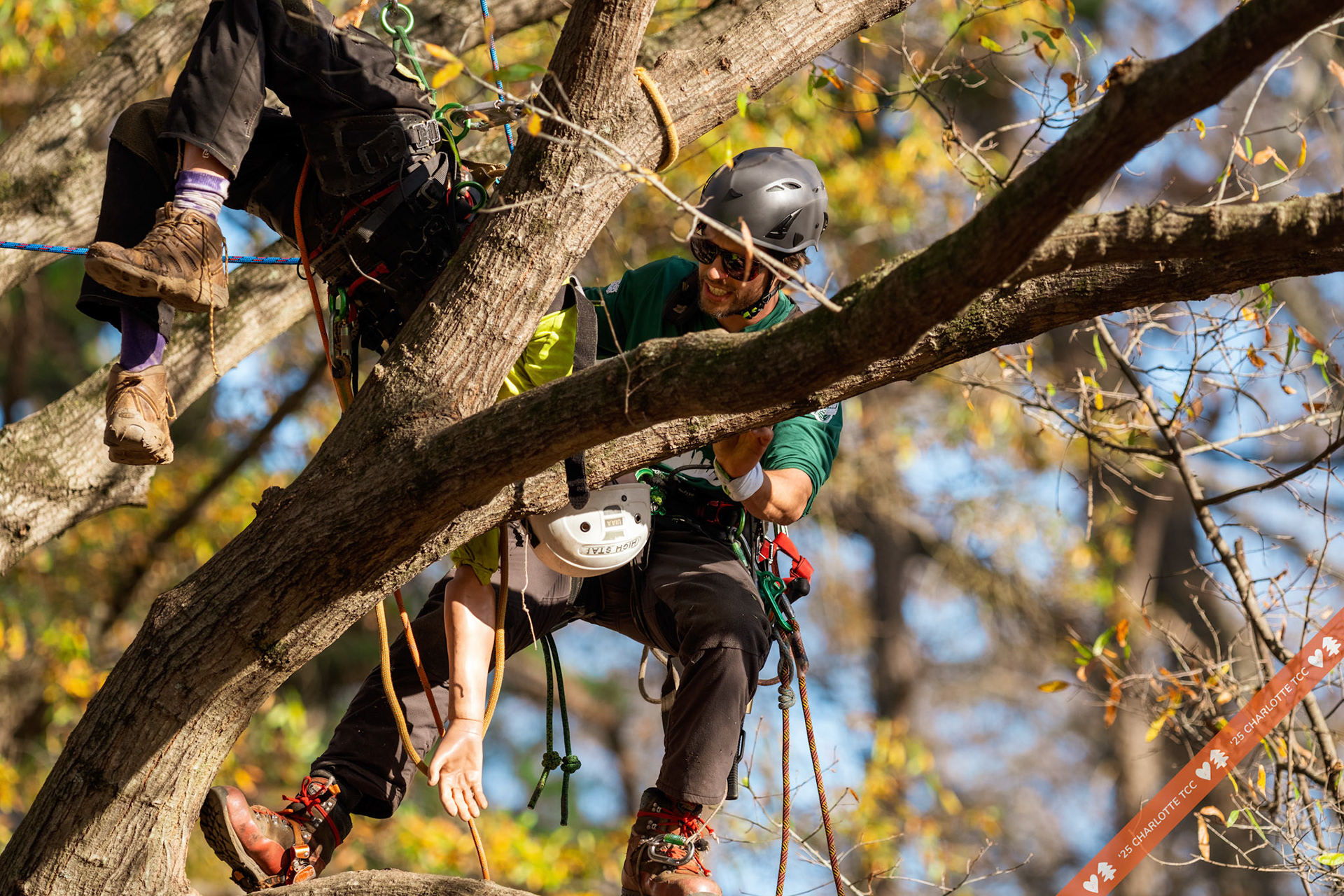 2025 Charlotte Tree Climbing Competition - TreeStuff.com/photos