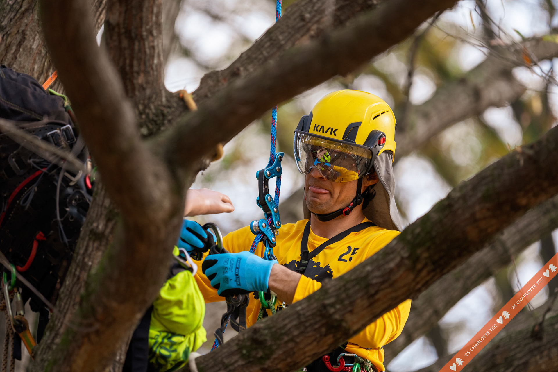 2025 Charlotte Tree Climbing Competition - TreeStuff.com/photos