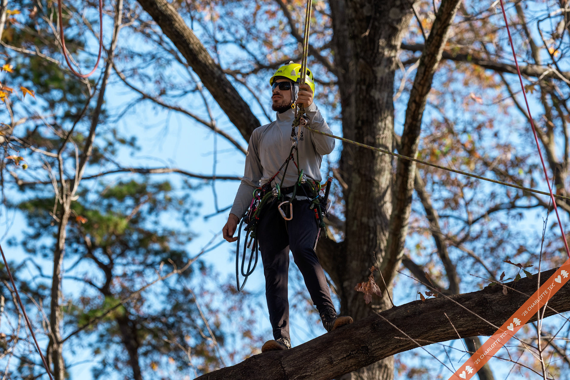 2025 Charlotte Tree Climbing Competition - TreeStuff.com/photos