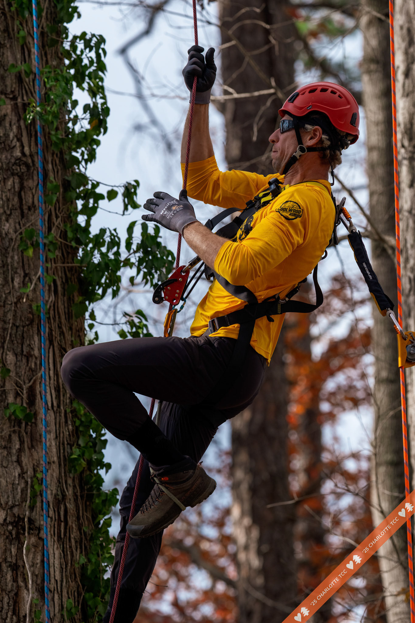 2025 Charlotte Tree Climbing Competition - TreeStuff.com/photos