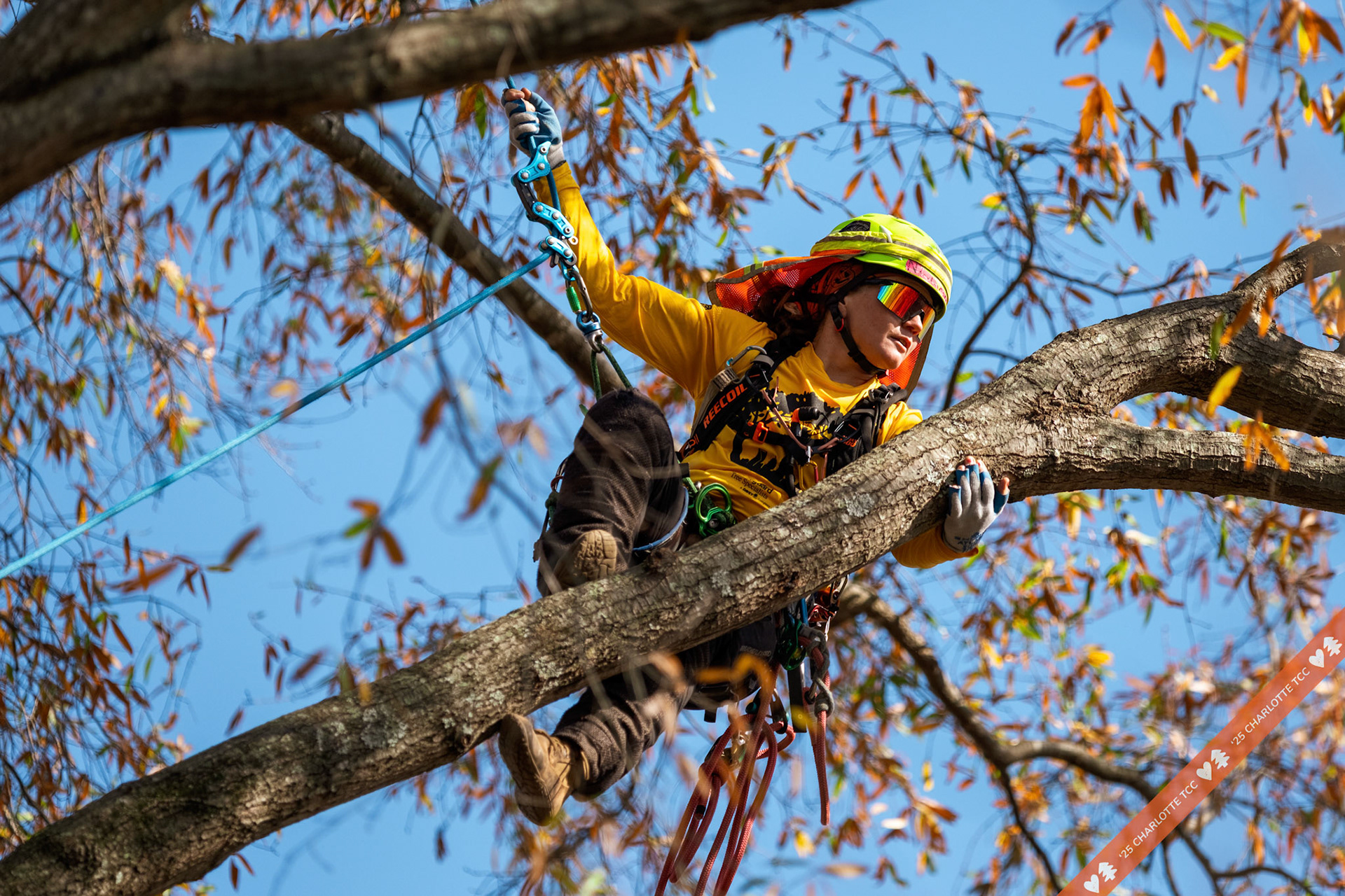 2025 Charlotte Tree Climbing Competition - TreeStuff.com/photos