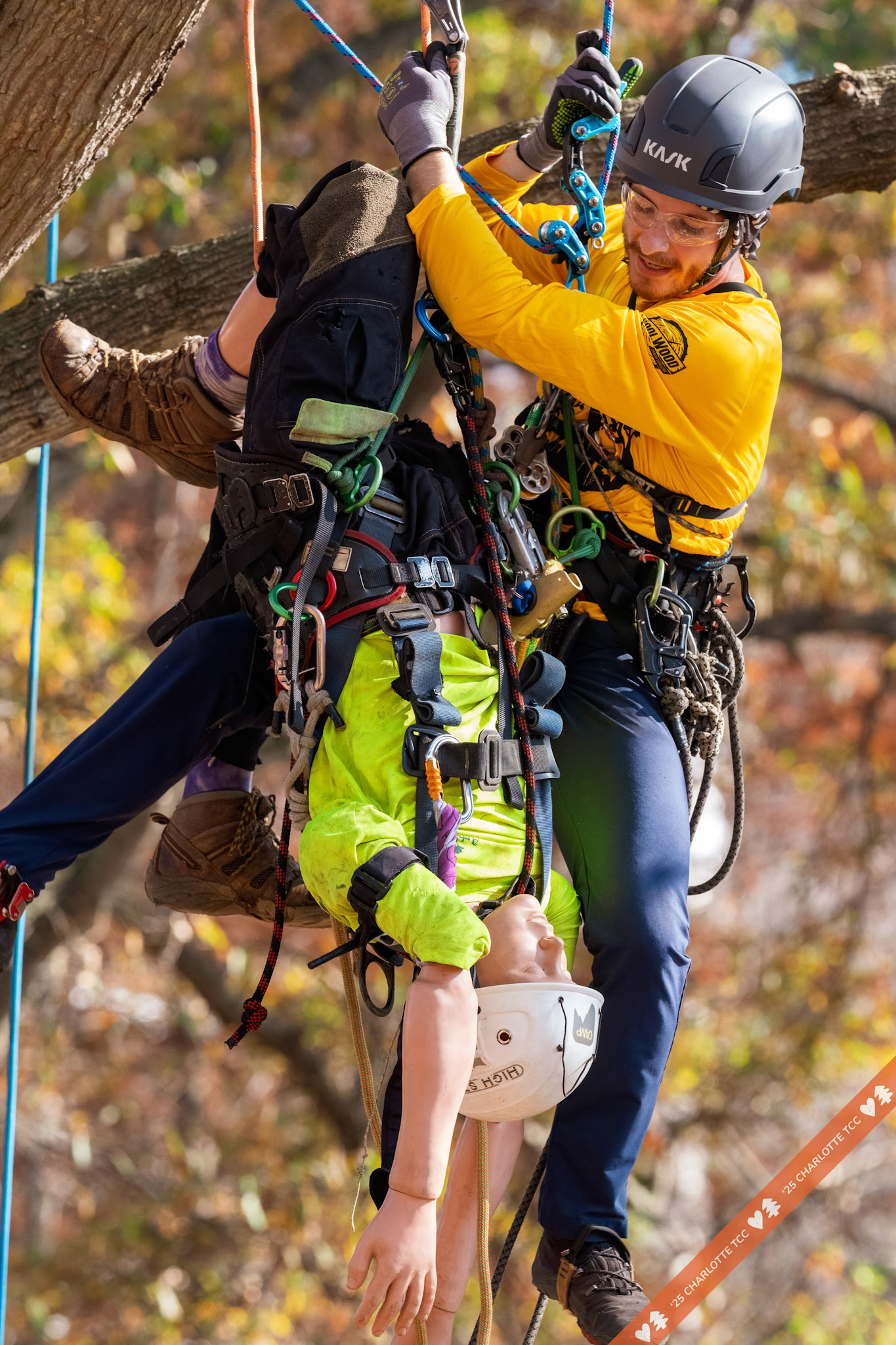 2025 Charlotte Tree Climbing Competition - TreeStuff.com/photos