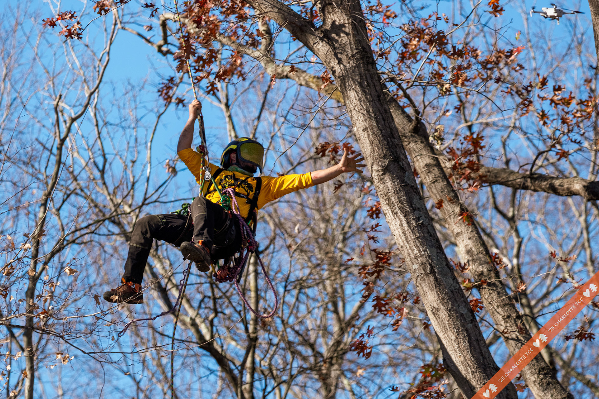 2025 Charlotte Tree Climbing Competition - TreeStuff.com/photos