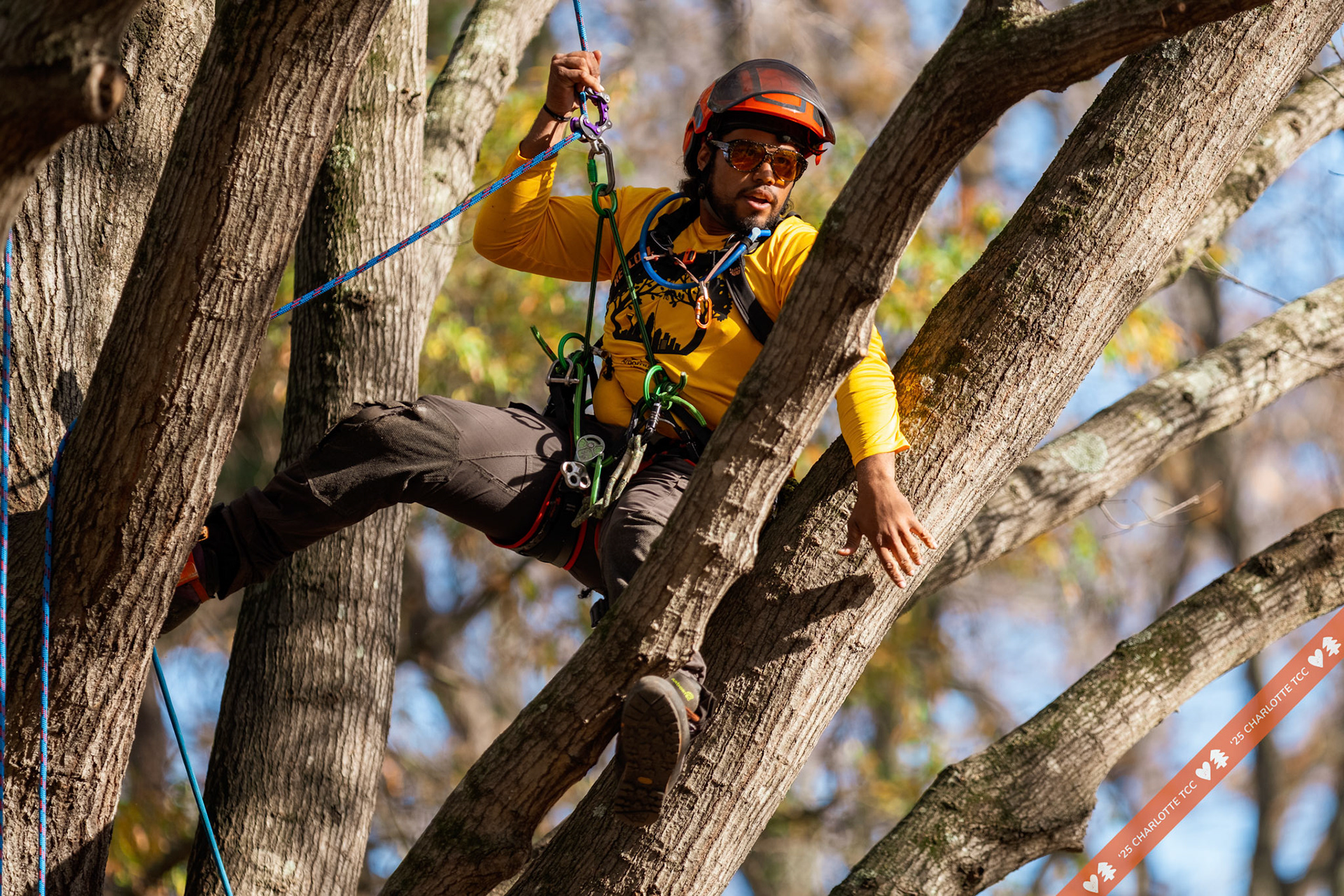 2025 Charlotte Tree Climbing Competition - TreeStuff.com/photos