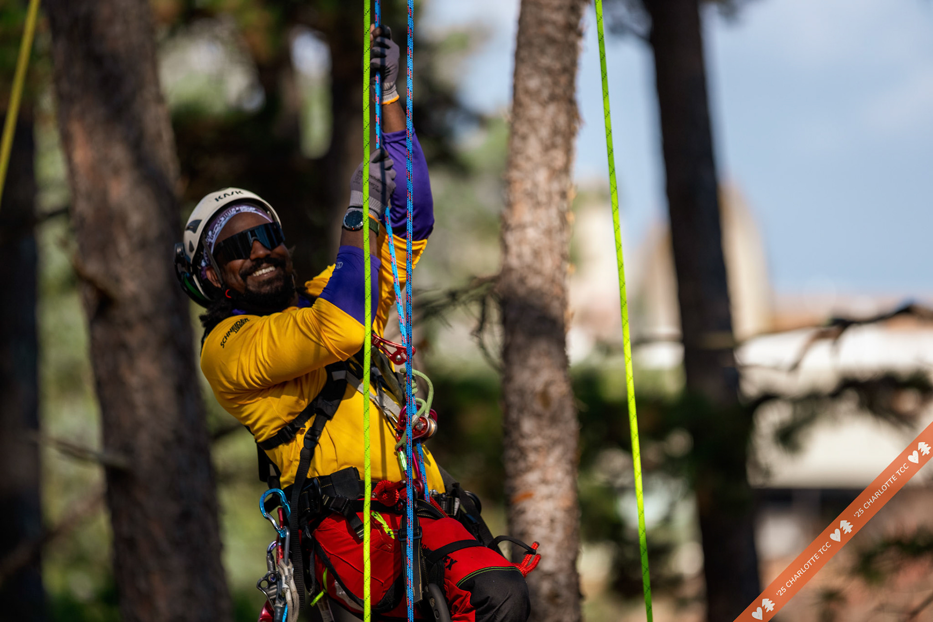 2025 Charlotte Tree Climbing Competition - TreeStuff.com/photos