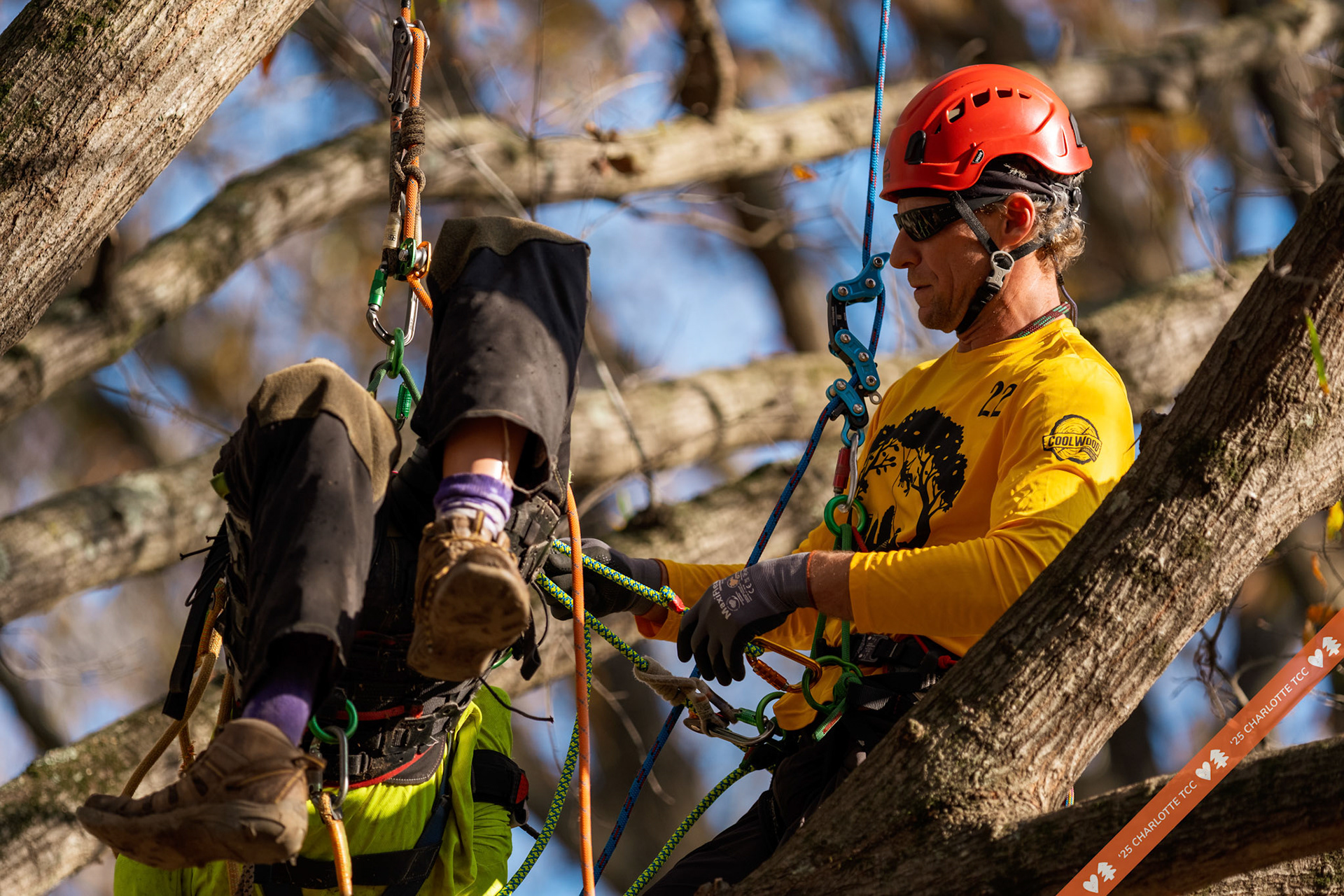 2025 Charlotte Tree Climbing Competition - TreeStuff.com/photos